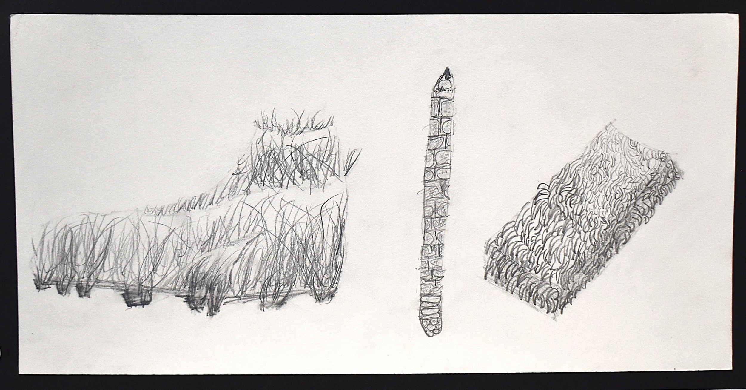 Zane Rodriquez - Untitled, 8th Grade, Pencil