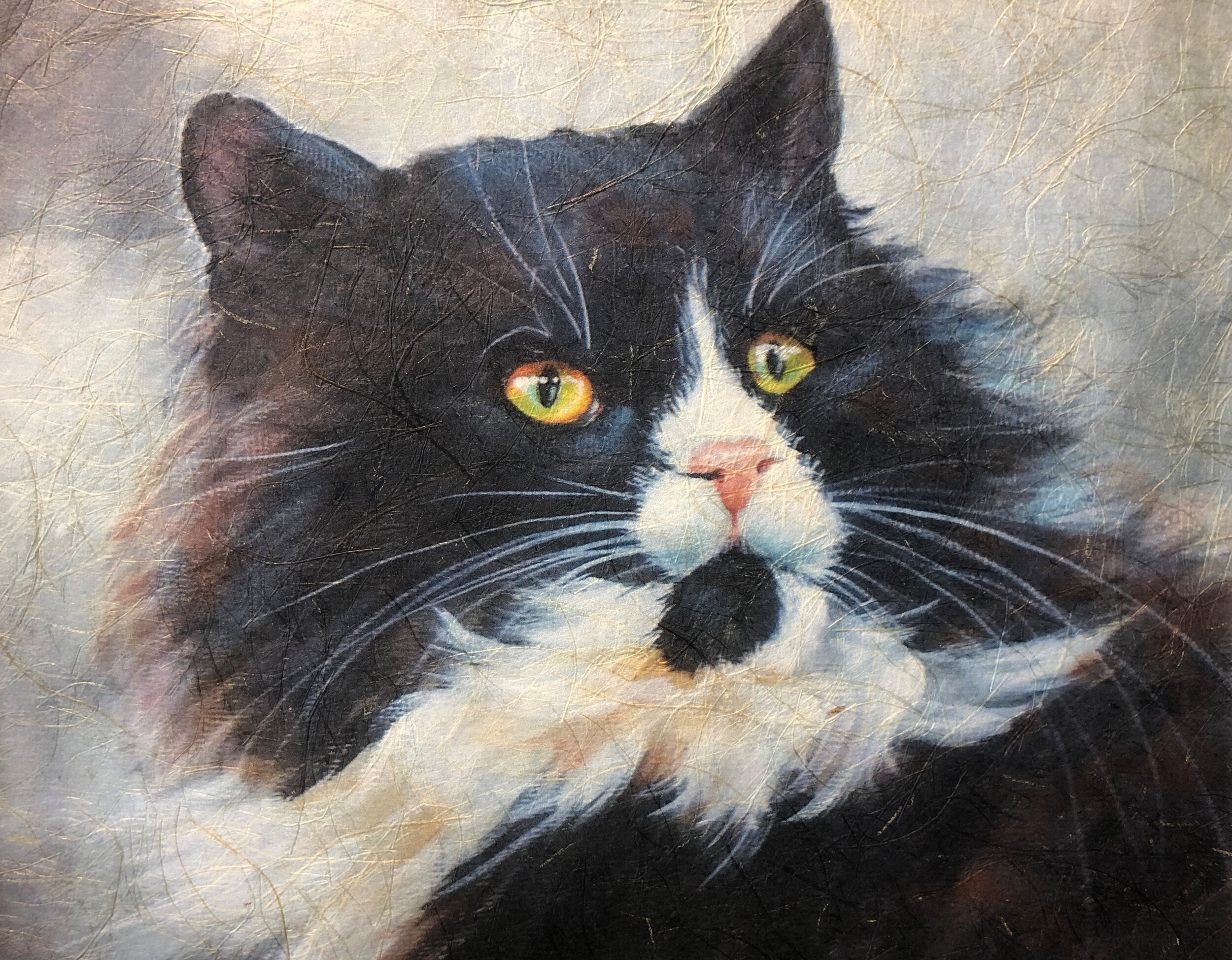 Liz Miller_B&W Kitty_$30.jpg