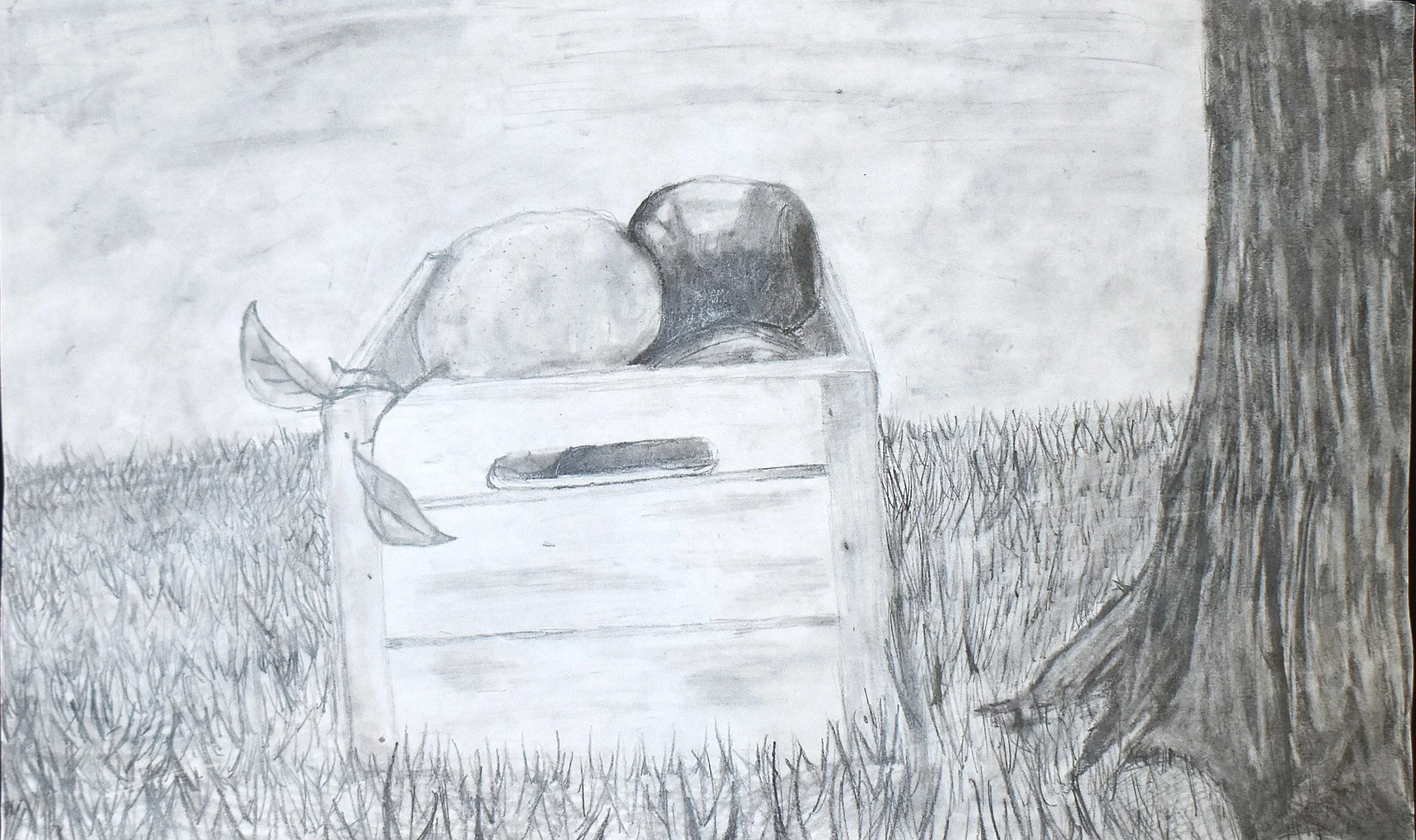 Alanna Vanhoose- Summertime Still, 8th Grade, Pencil