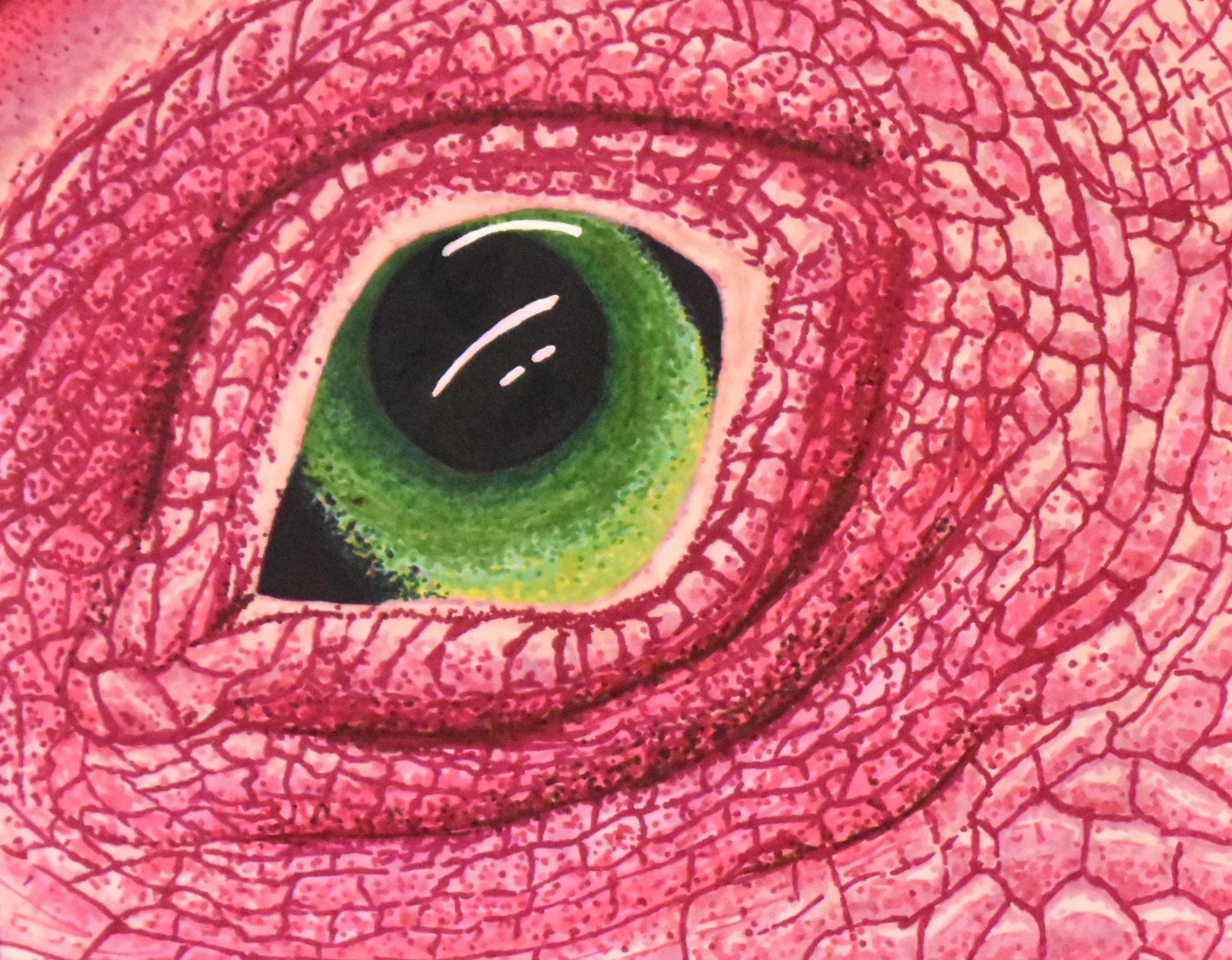 Leona Guy, 9th Grade, Lizard, Marker