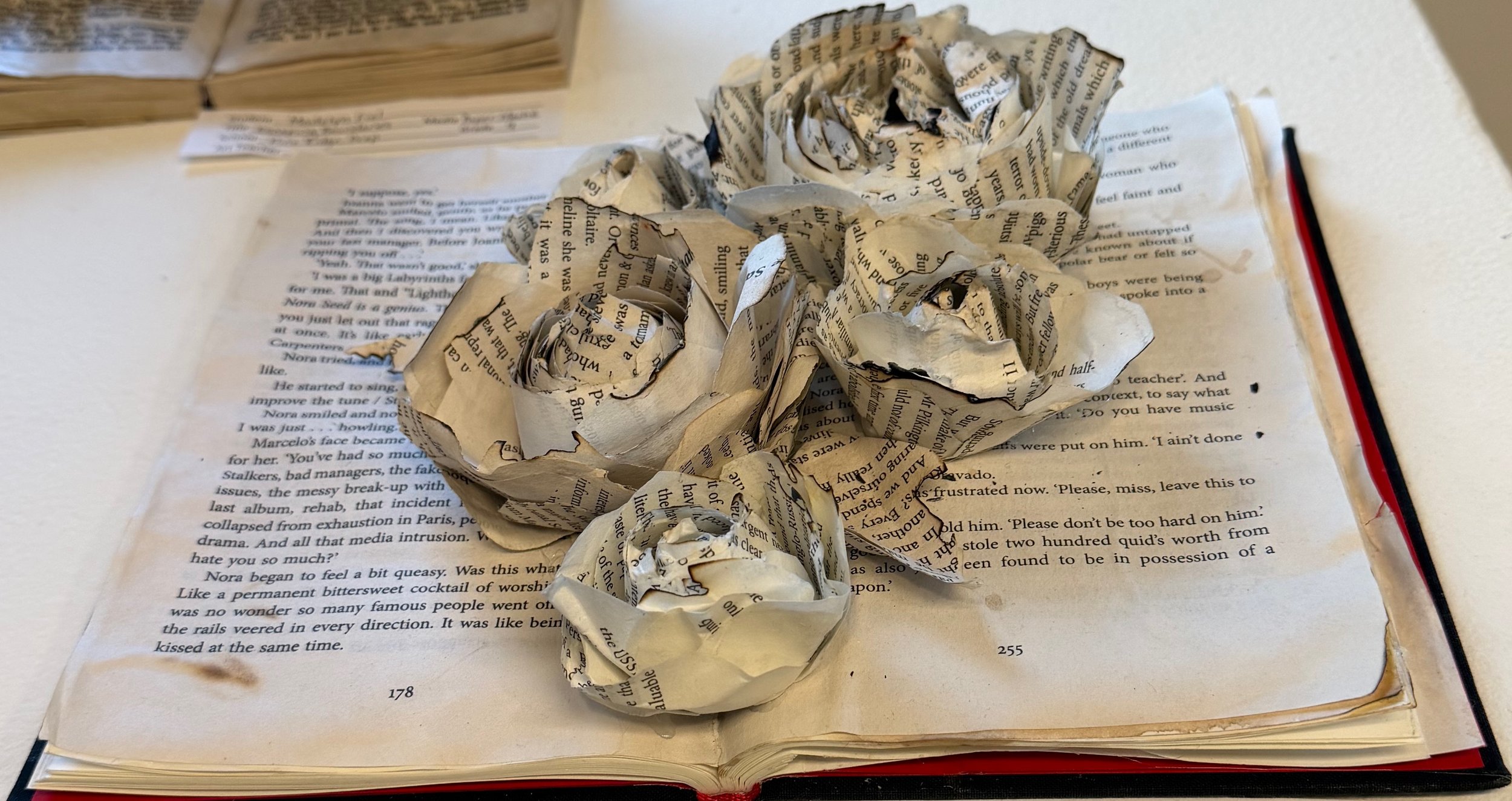 Madelyn Fiel, 9th, Paper Blooms, Paper Maché