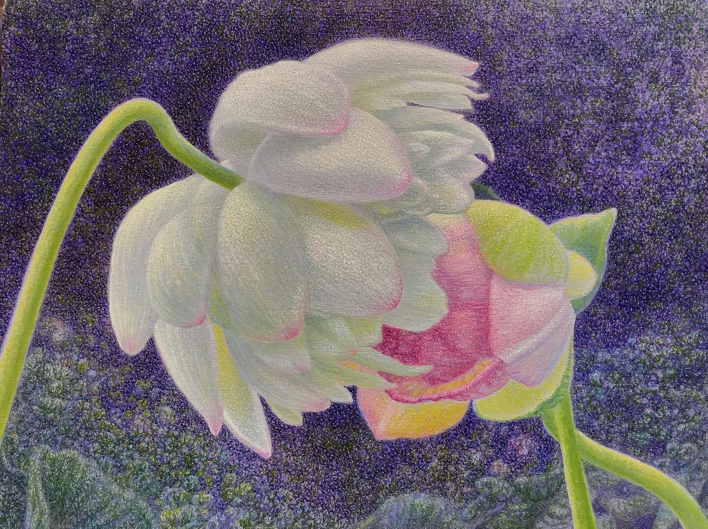 “Whispering Lotus”by Keith Klein 6x8 oil on panel#oilpainting#smallpaintings#lotusflower#littleart#cincinnatiartgalleries#artoninstagram#instaart#lotusblossom#lotuspondkaohsiung#kentuckyartist#livingartist#cincinnatiartgalleries#waterflow