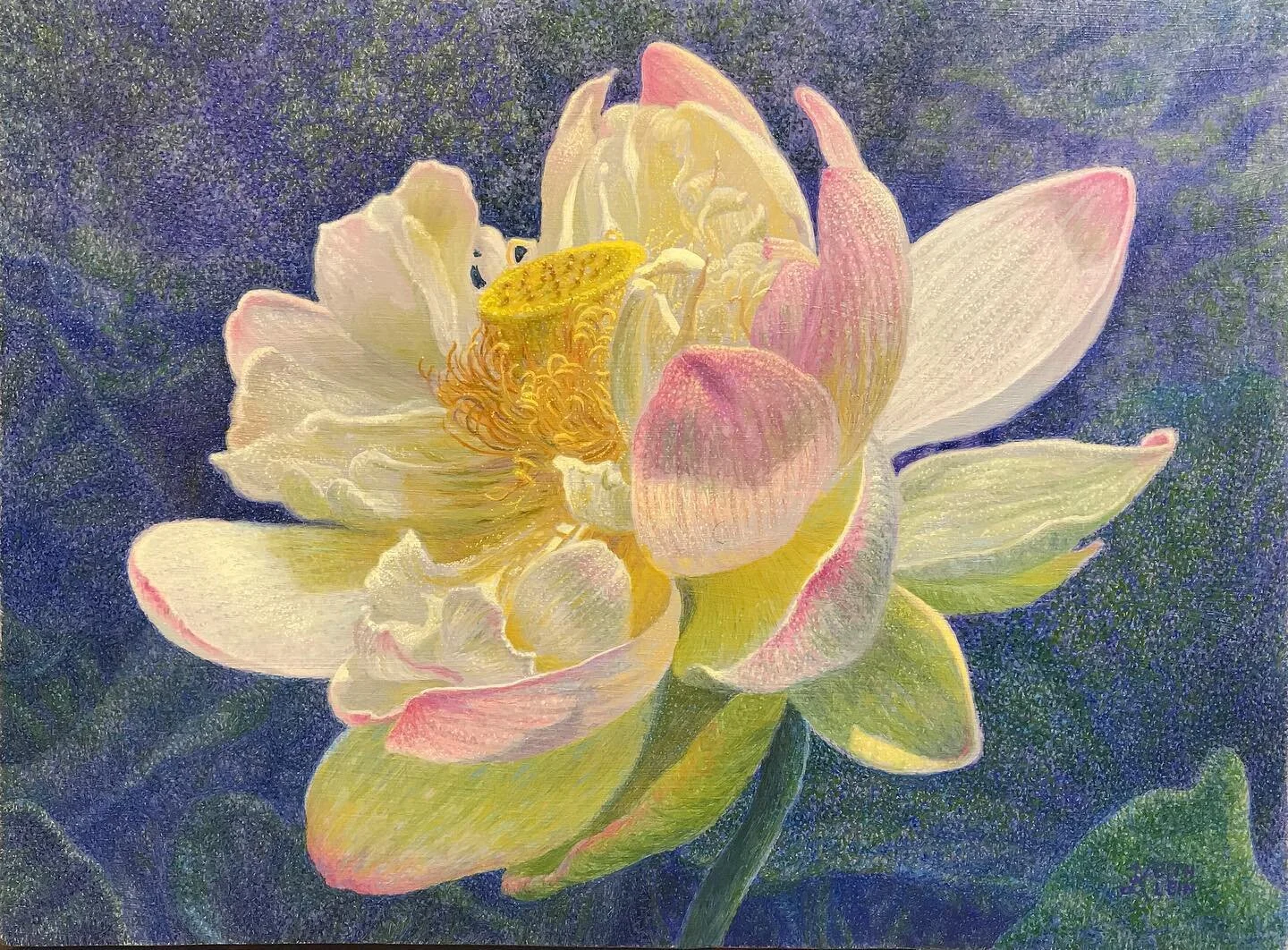 “Crescendo” by Keith Klein 6x8 oil on panel #lotus##lotusflower#waterflower#smallpaintings#realism#realismart#representationalpainting#finepainting#fineart#americanartcollector#sothebys#flowers#rebirth#kentuckyartist#livingartist#collectl