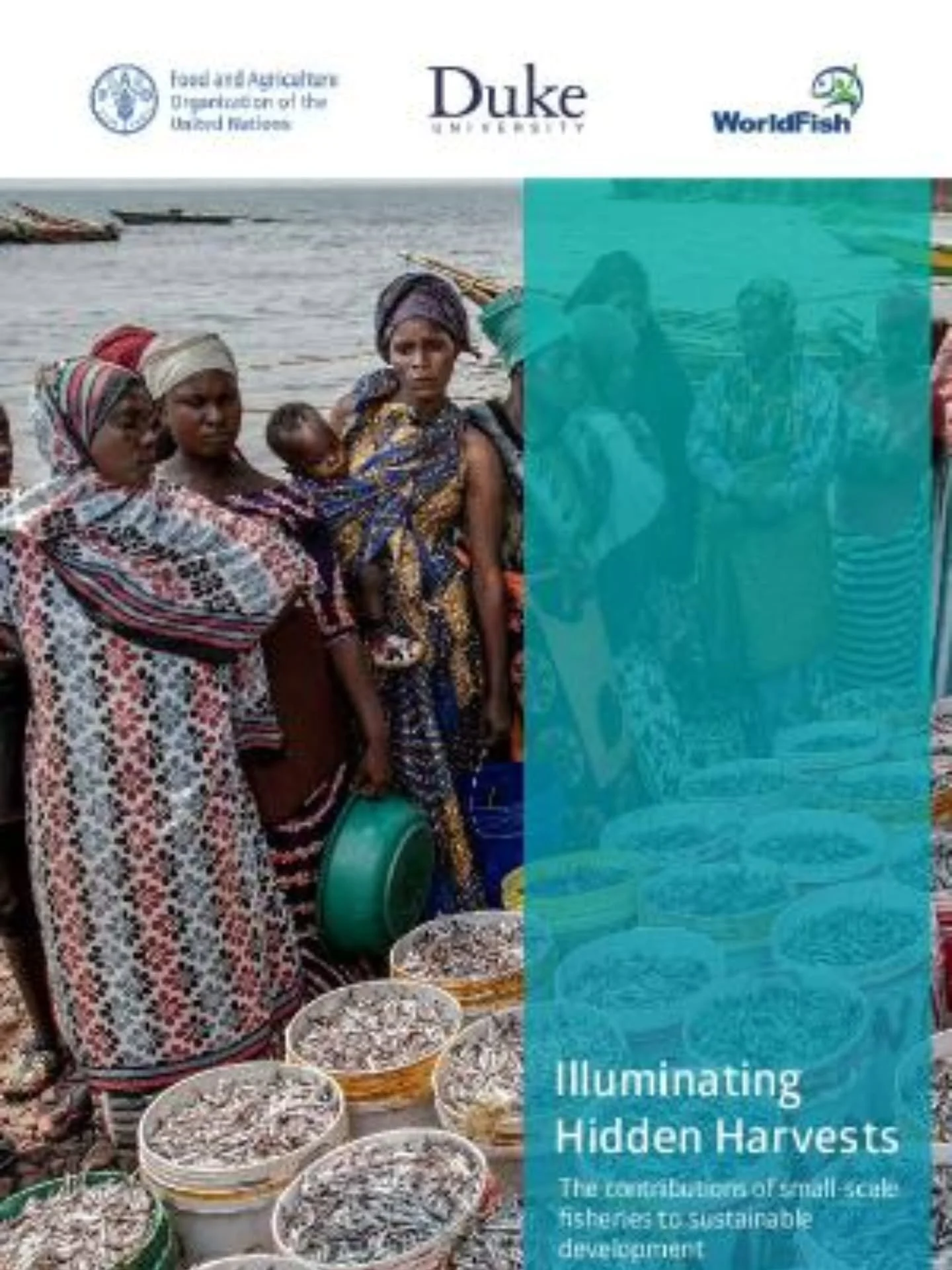 Today is World Fisheries Day! Do you know how many people in the world 🌎 are dependent on small-scale fisheries for their livelihoods 💱? According to recent research, it&rsquo;s roughly 492 million. 

Illuminating Hidden Harvests is a global study 