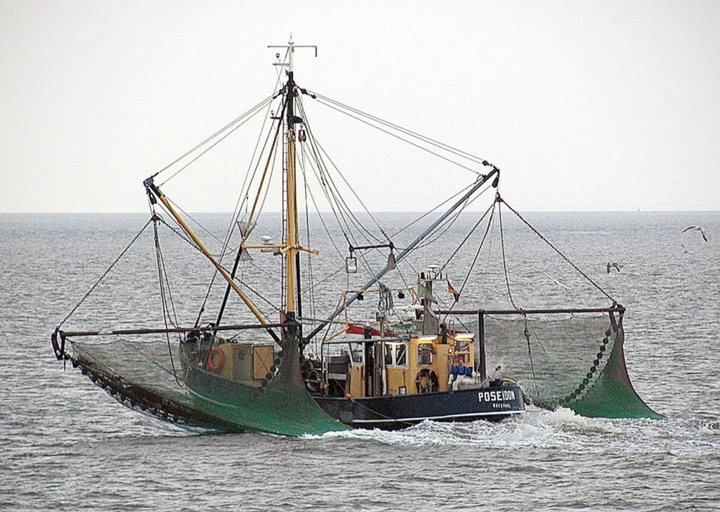 A recent collaborative study led by the Next Swell president, @bbart44, has reviewed the scholarly research related to illegal, unreported, and unregulated (IUU) fishing research - finding gaps and prevailing narratives that may undermine effective a
