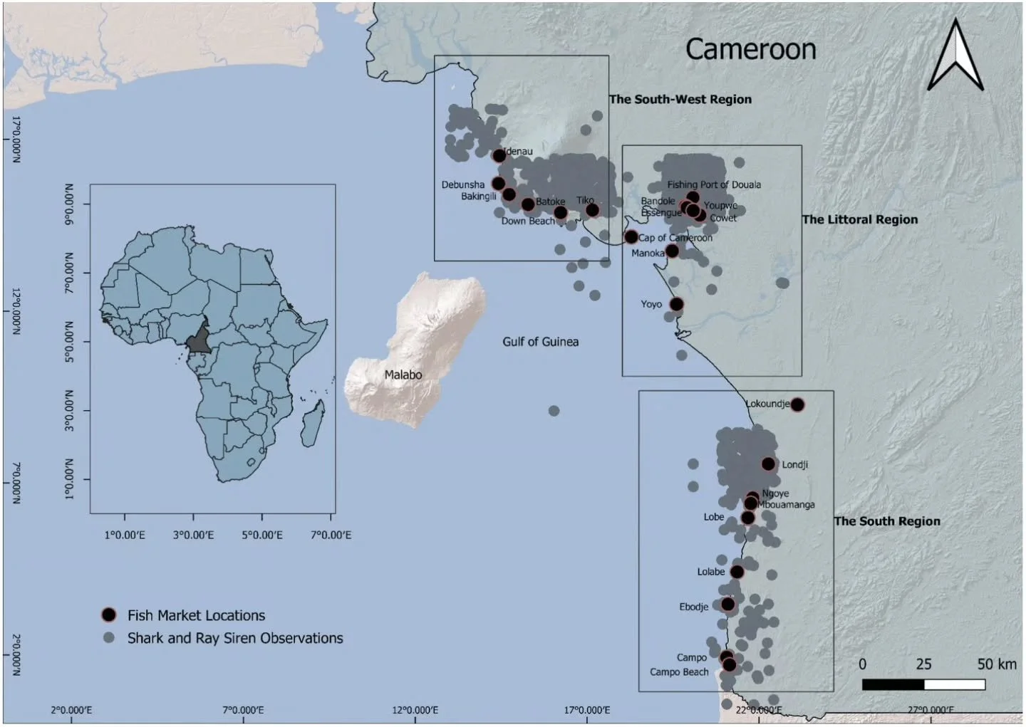 Across parts of West and Central Africa 🌍, small-scale fisheries are bringing home tens of thousands of elasmobranchs (sharks 🦈&nbsp;and rays 🌊🥞)&nbsp;&mdash; many of them threatened with extinction 📉. These marine keystone species are essential