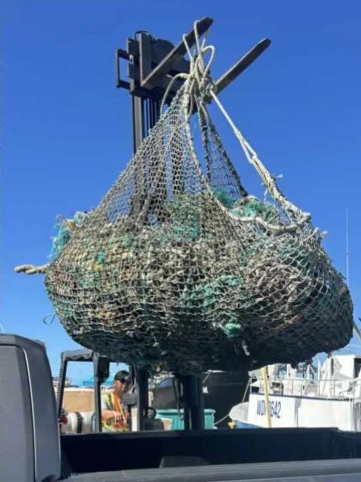 A little piece of good 😌 news this late March Friday. You may have heard of the Great Pacific Ocean Garbage 🗑️ Patch &ndash; the largest collection of ocean debris in the world 🌎, located in the North Pacific between Hawai&rsquo;i and California ?