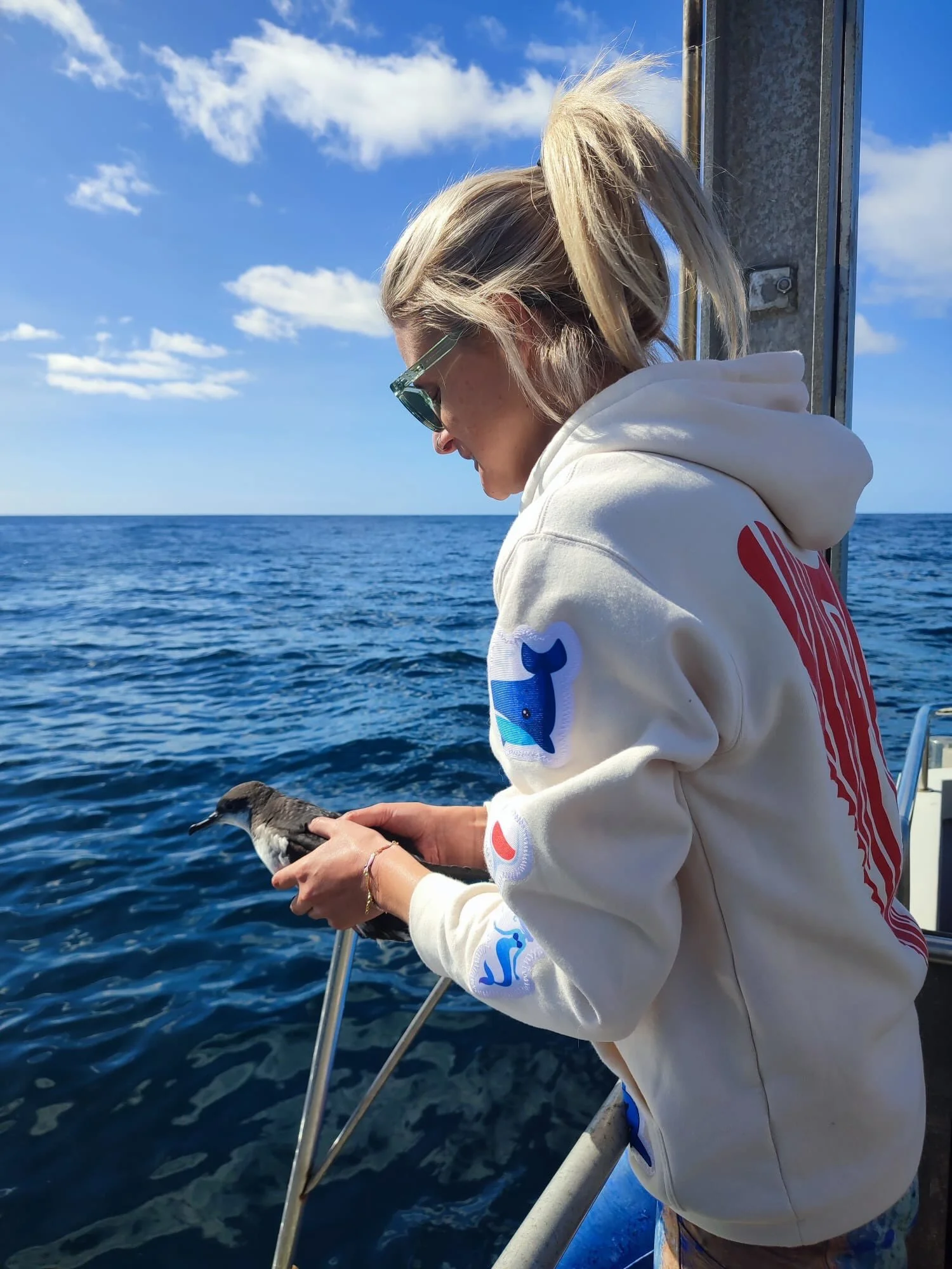 We went looking for sharks 🦈 and ended up helping 45 young Manx shearwaters begin one of the biggest journeys of their lives 🌊🐦!

Two members of The Next Swell&rsquo;s Board recently joined @celticdeep off the coast of Pembrokeshire, Wales, where 