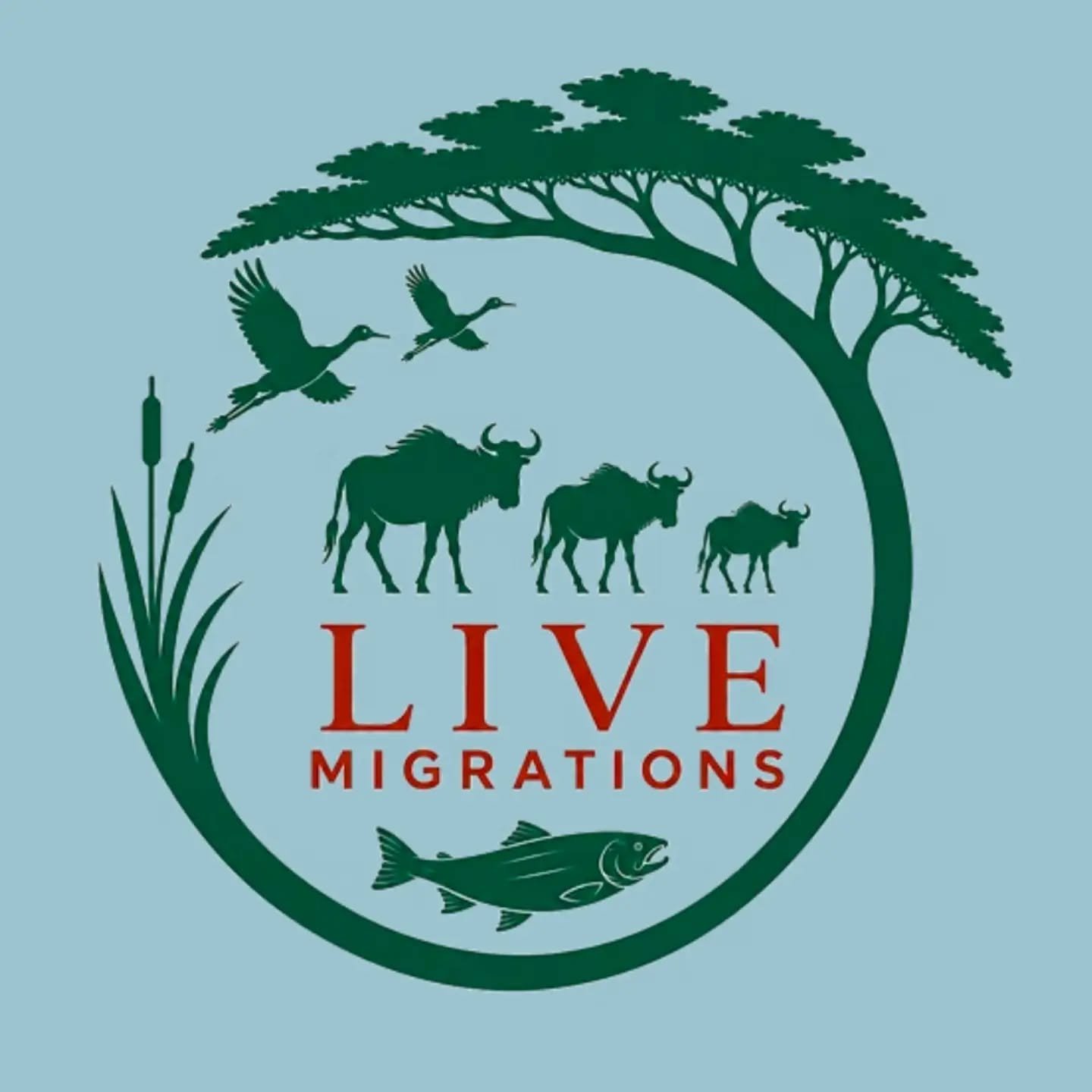 Watching wildlife live streams 🎥 has slowly become a bit of a phenomenon. From the fish doorbell 🐟🔔 in the Netherlands (https://visdeurbel.nl/en/) to watching bald eagle 🦅 nests (https://eagles.org, among others) to so many others.&nbsp;

Capital