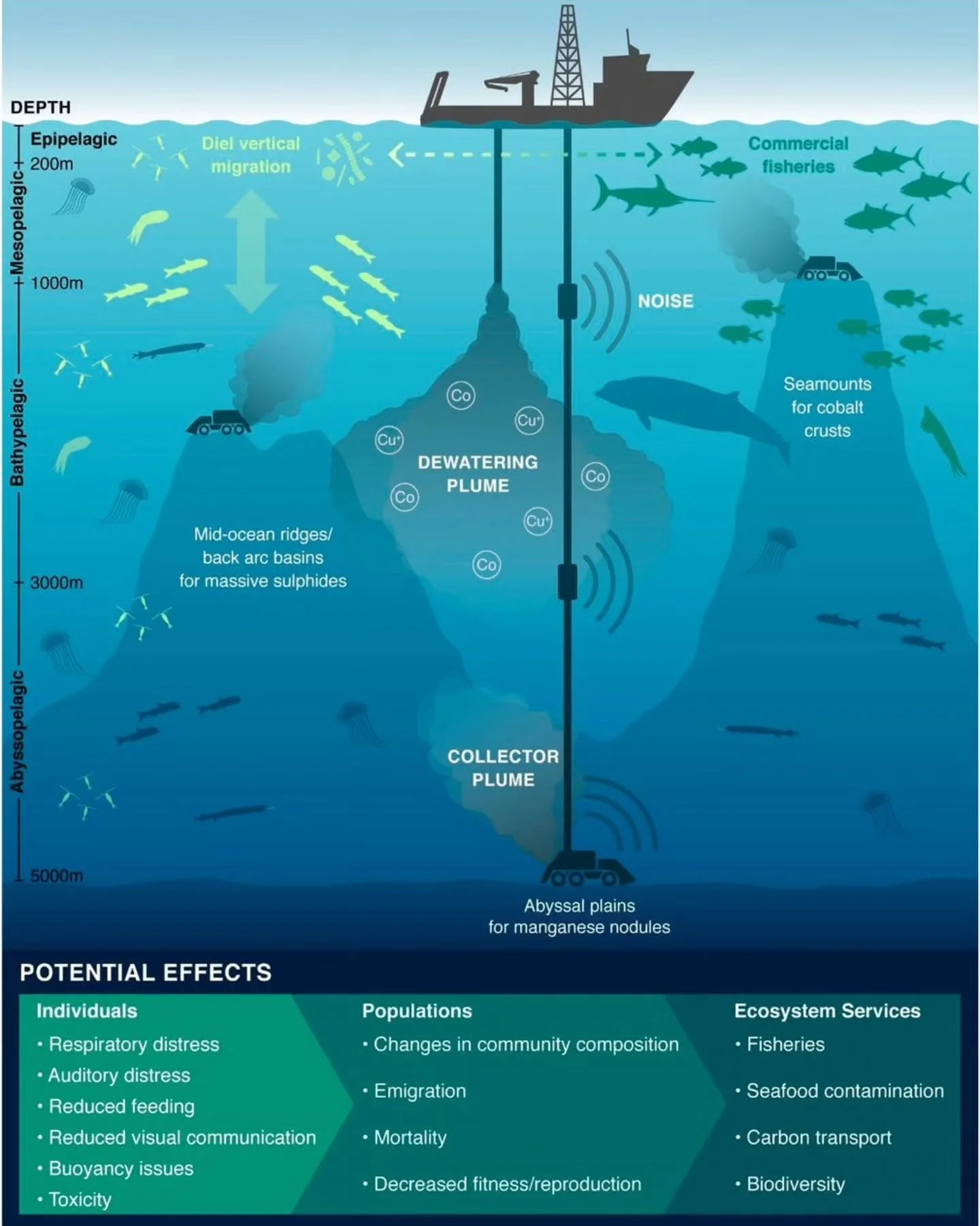 The U.S. government is making two separate moves related to seabed mining. One is a lease sale for seabed mining off American Samoa, which is a U.S. territory, so no international sign-off needed and environmental protection compliance is limited onl