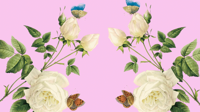 Mothers Day_16-9_gif.gif