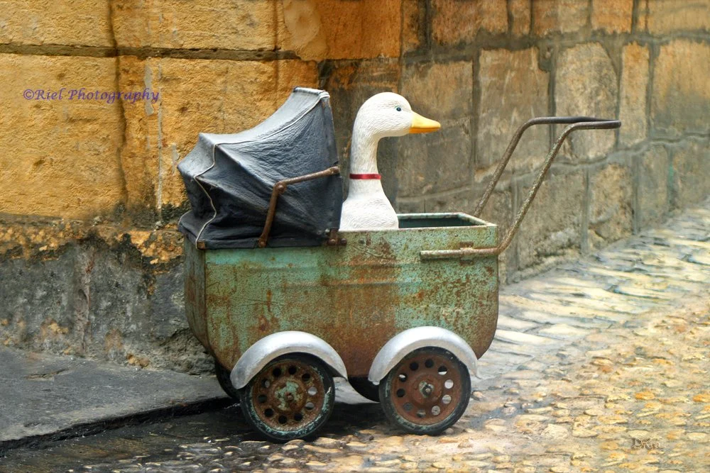 Riel_Duck&Carriage.jpg