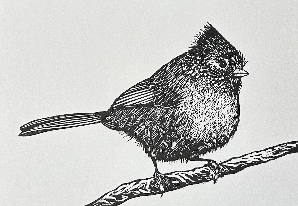OakTitmouse.jpg