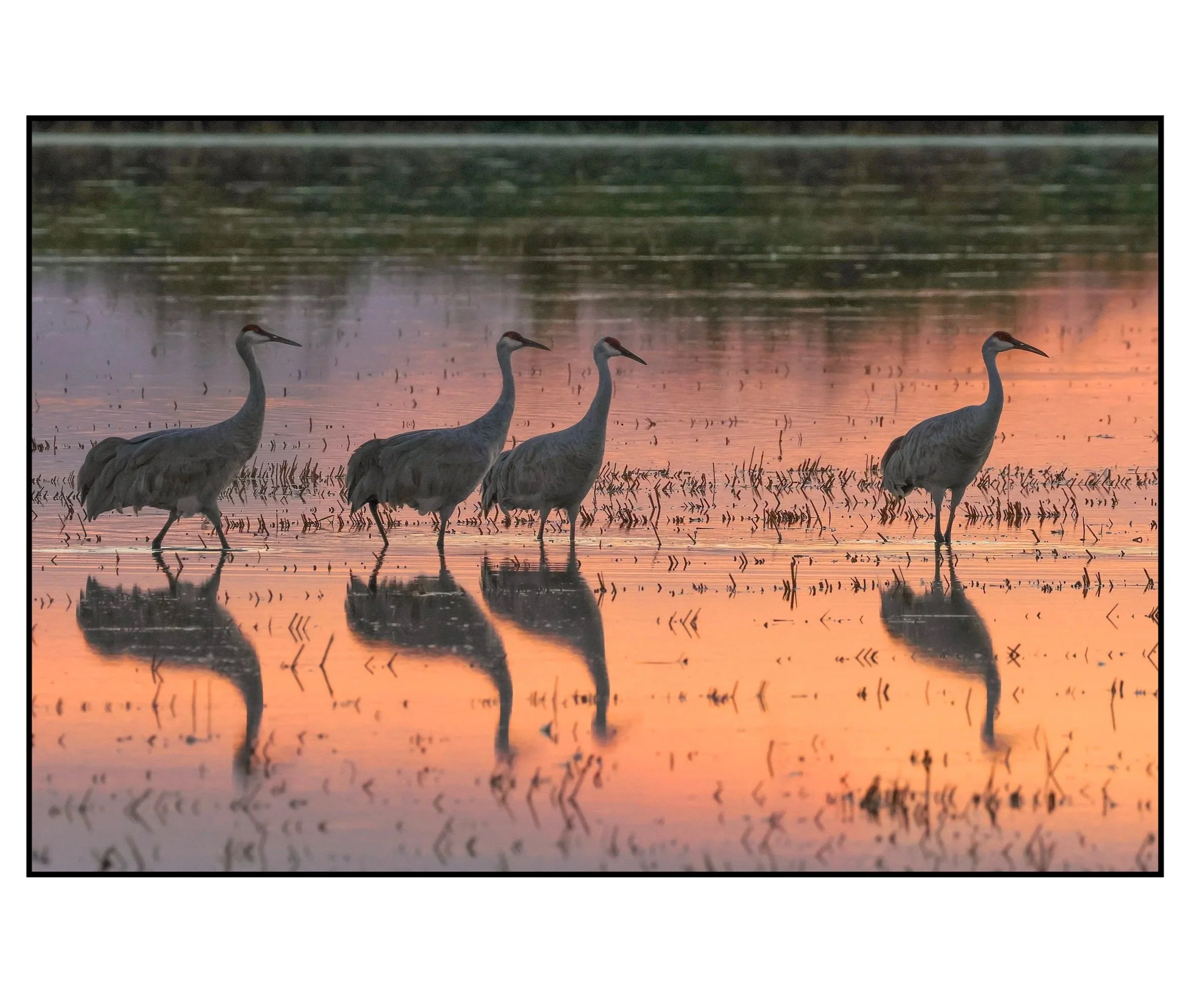 2Artery Show6M4A0299L.jpg