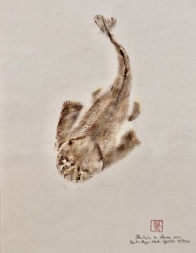 shark fish print