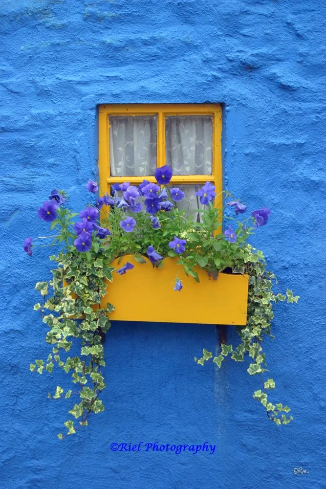 Riel_BlueWall Ireland.jpg