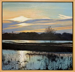 CJRobinson_Cosumnes Sunset.jpeg