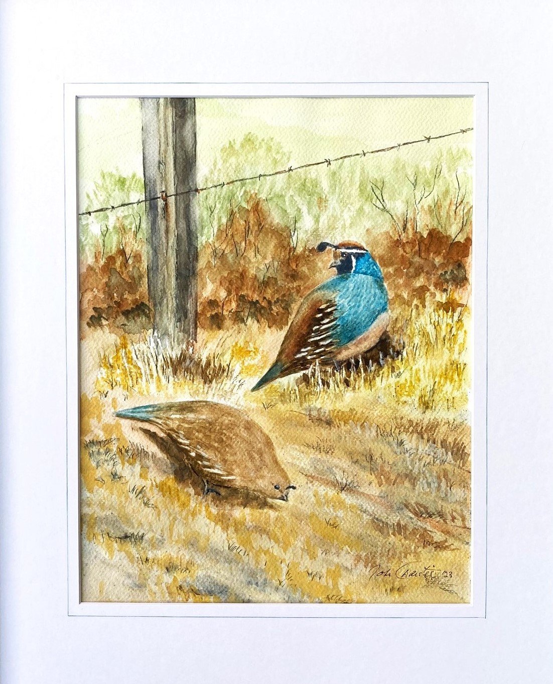 fenceline quail.jpg