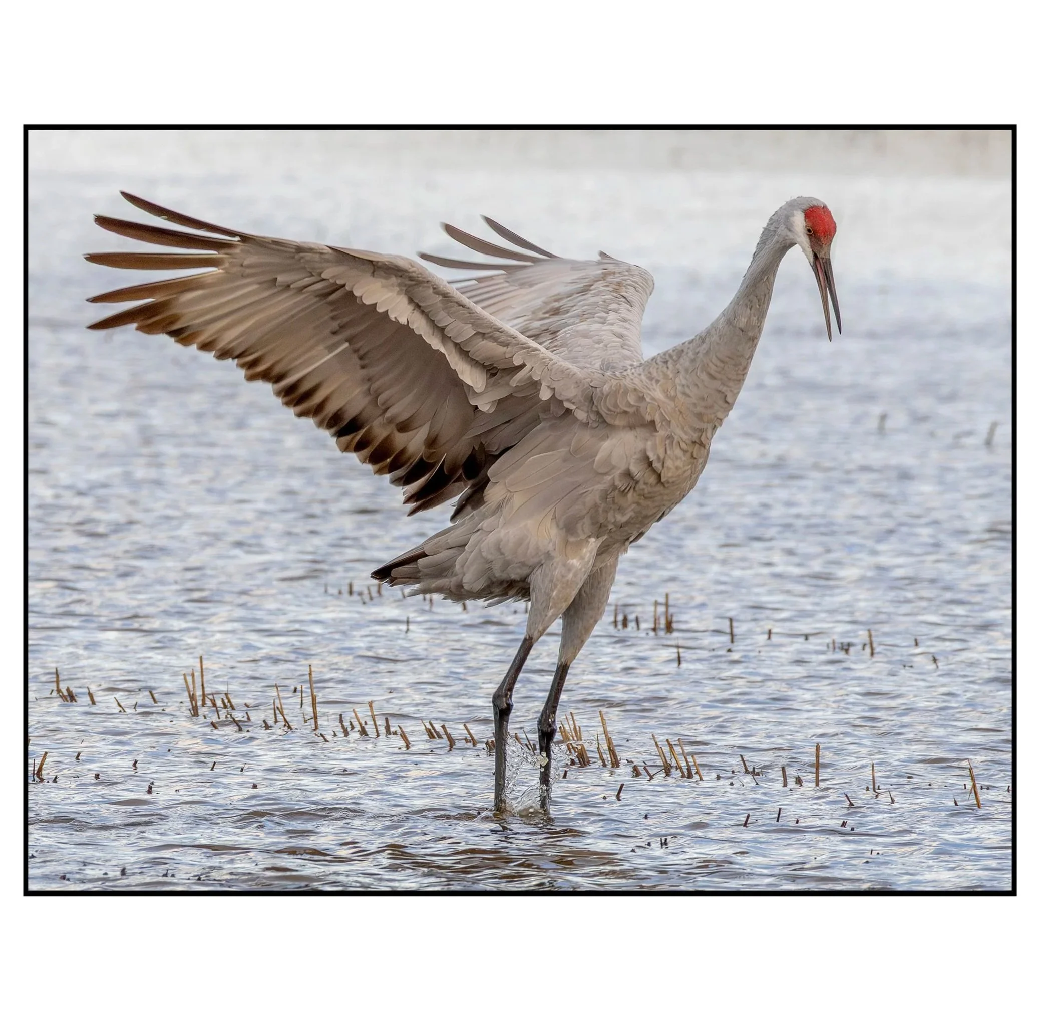 1Artery Show R7JH0571L.jpg