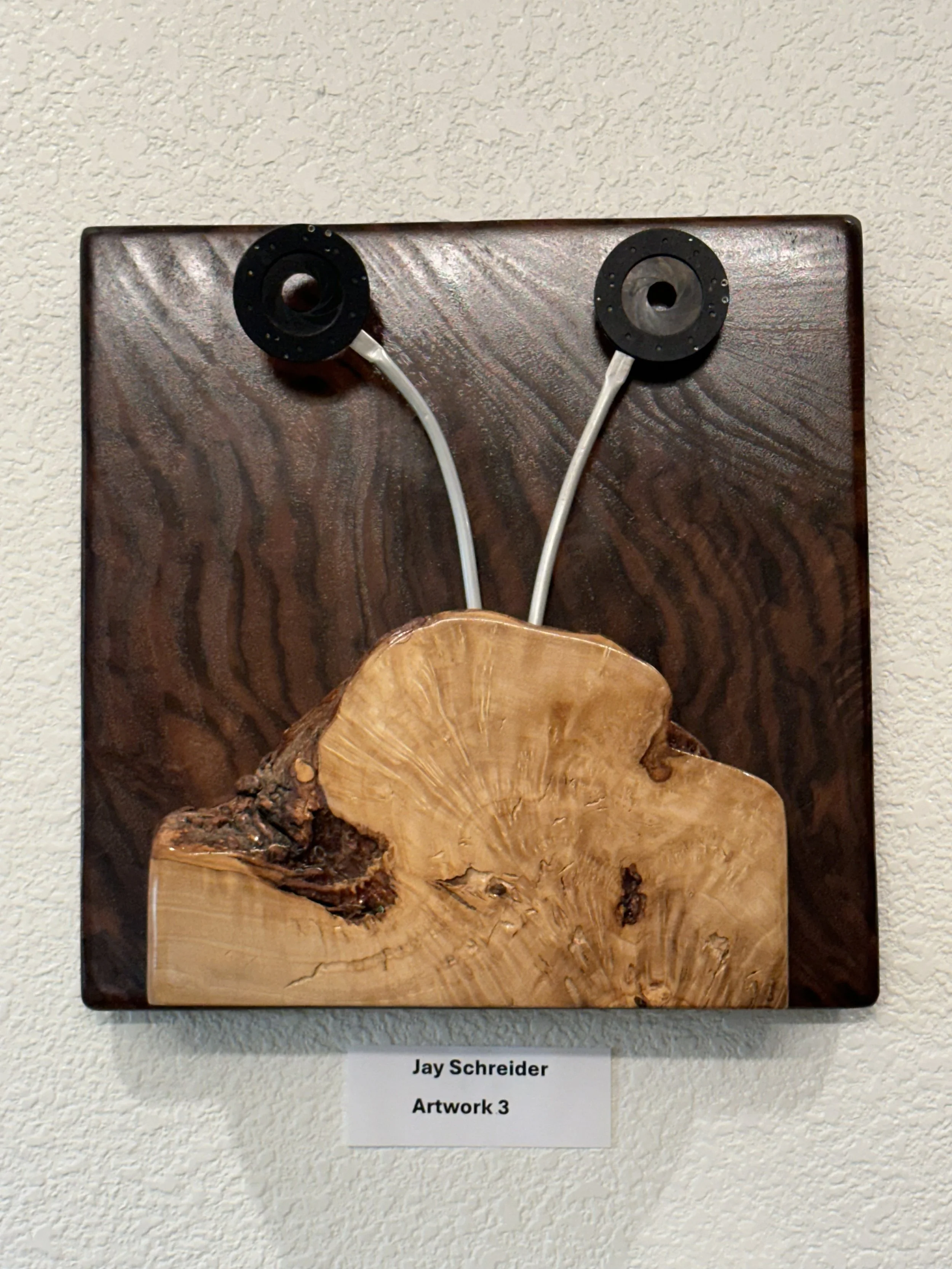 Jay SchreiderArtwork3.jpeg