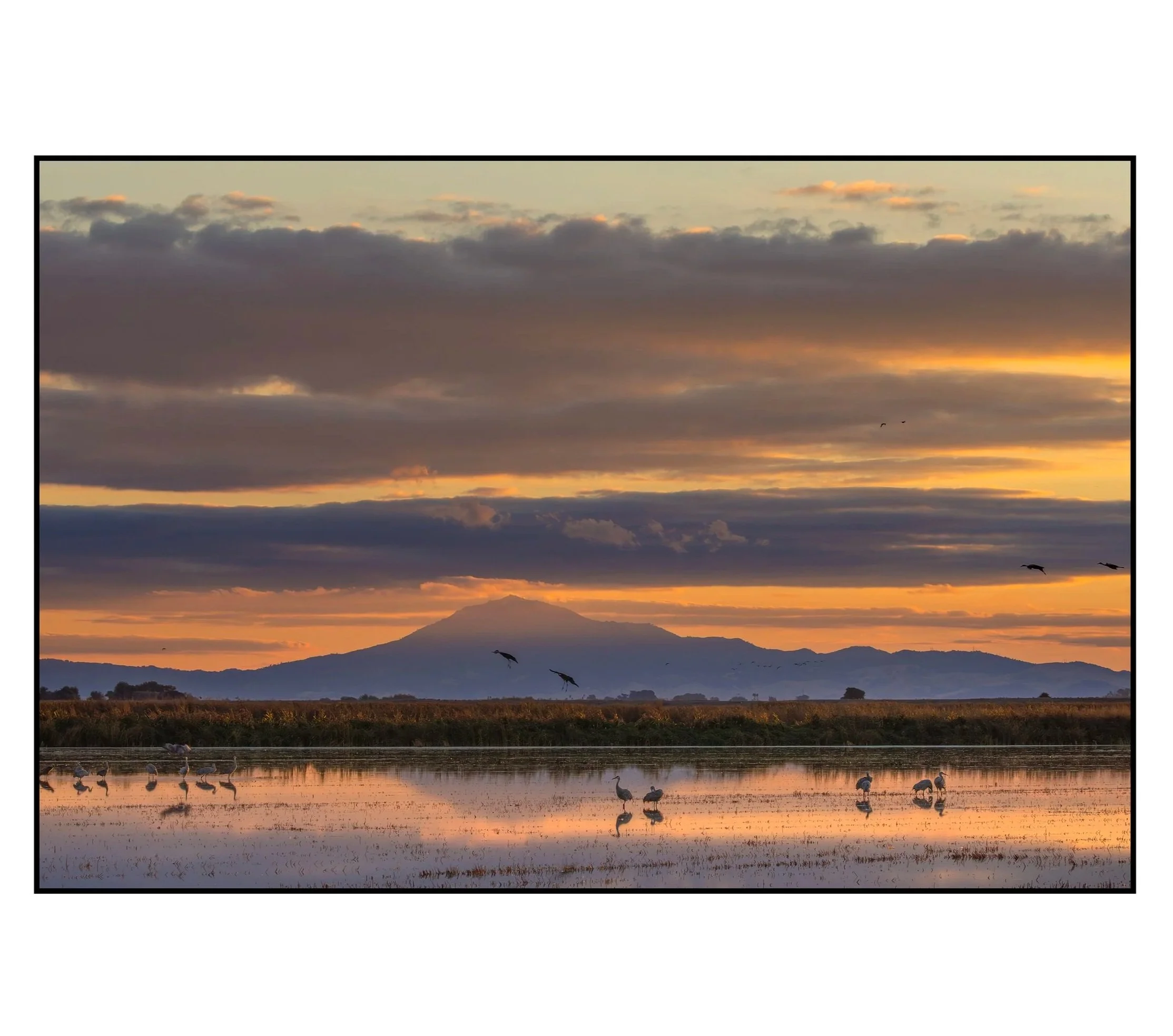 3Artery Show 287A6404L.jpg