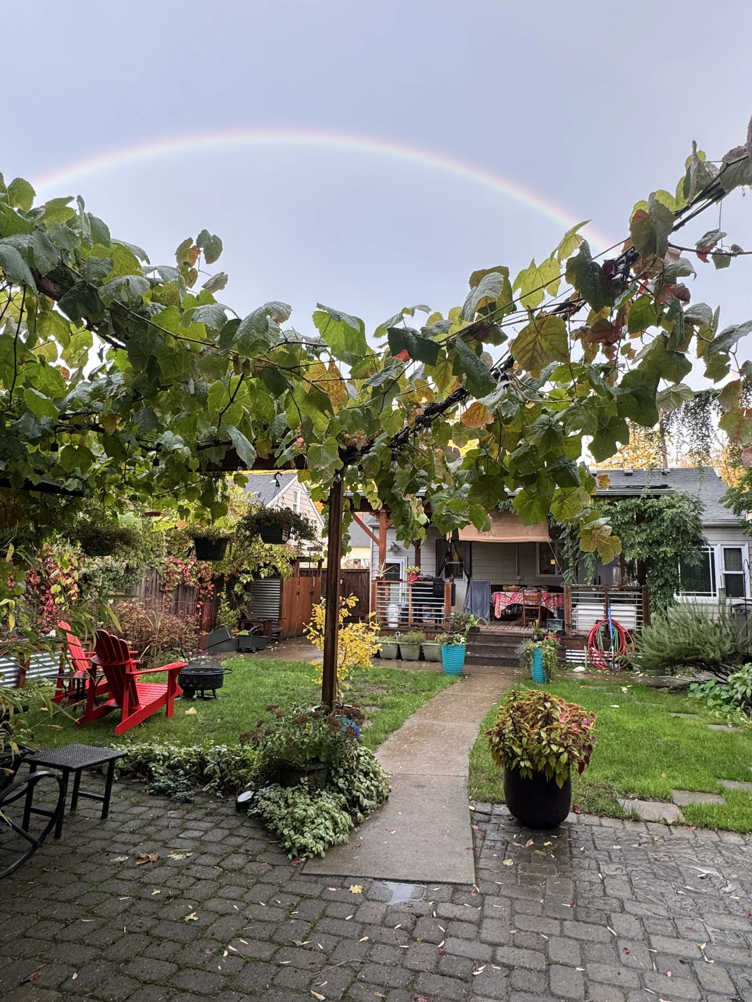 view from the studio rainbow.JPG