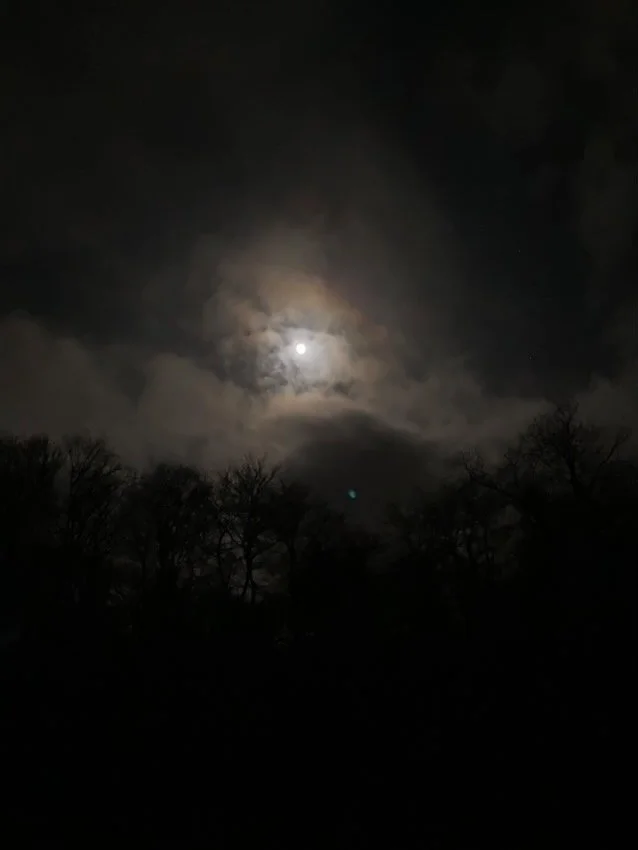 Night sky with a bright full moon partly obscured by clouds and silhouetted trees at the bottom.