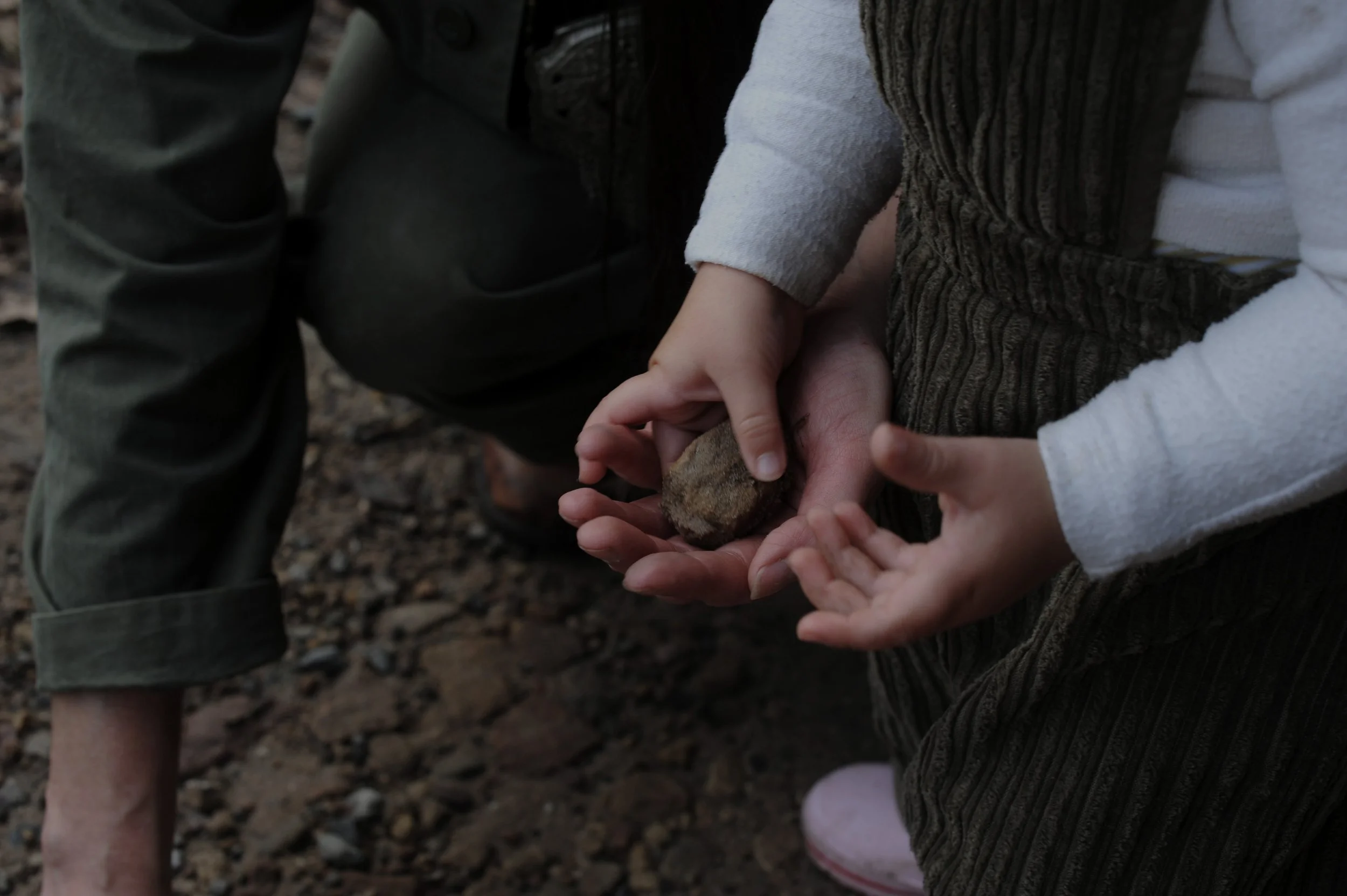 Two children, one older and one younger, are outdoors. The older child is holding a rock in their hand, and the younger child is touching it. The ground is rocky and dirt.