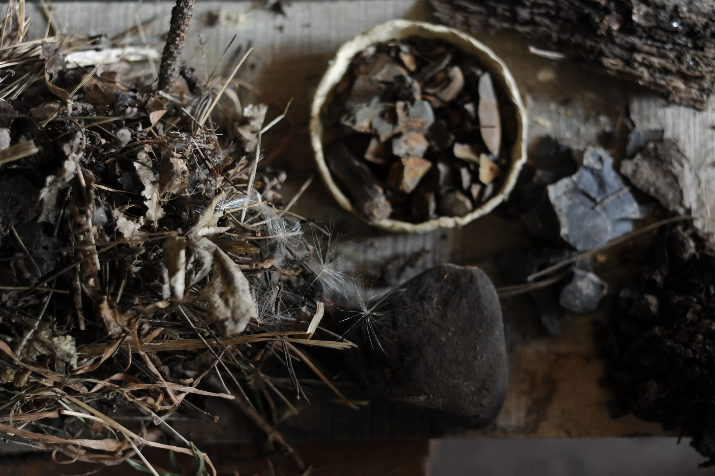 A close-up of a natural outdoor scene with dried plants, a partially broken egg shell filled with small rocks, a dark stone, and gravel on a wooden surface.