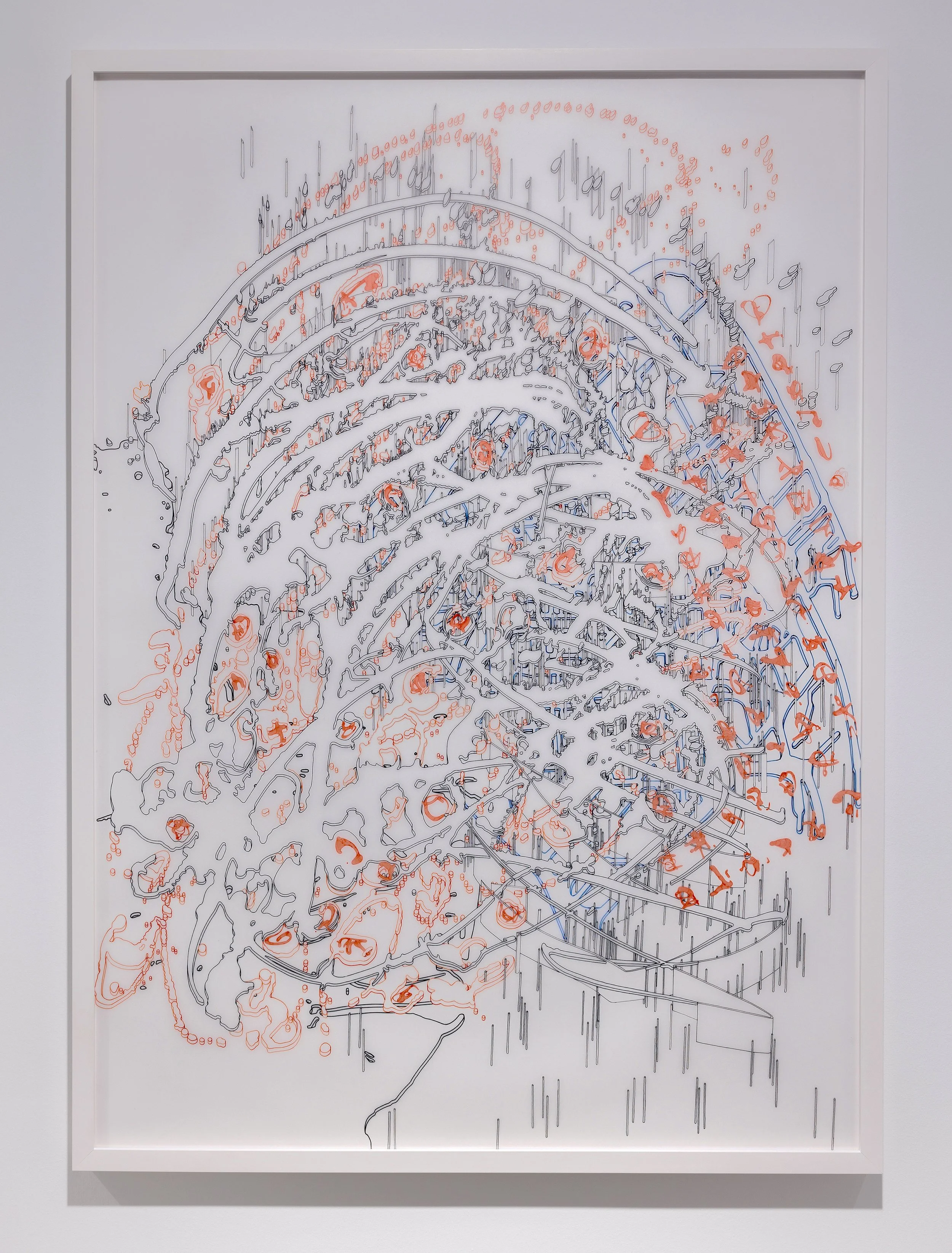 LIGHT LANGUAGE_DARK MATTER, ink on Mylar, 42” x 30” (2025)