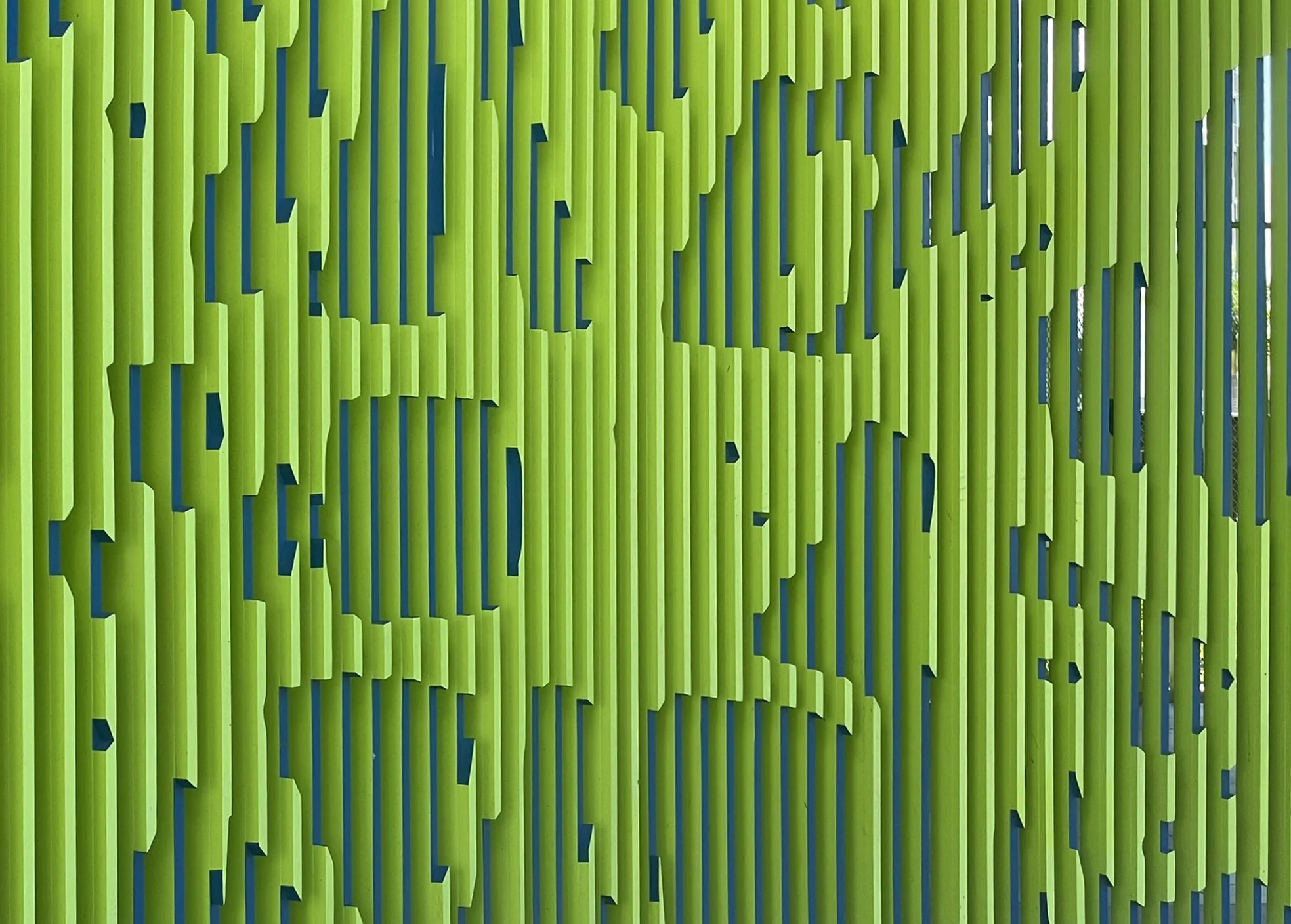 GIANT GREEN ANEMONE_north.14.JPEG