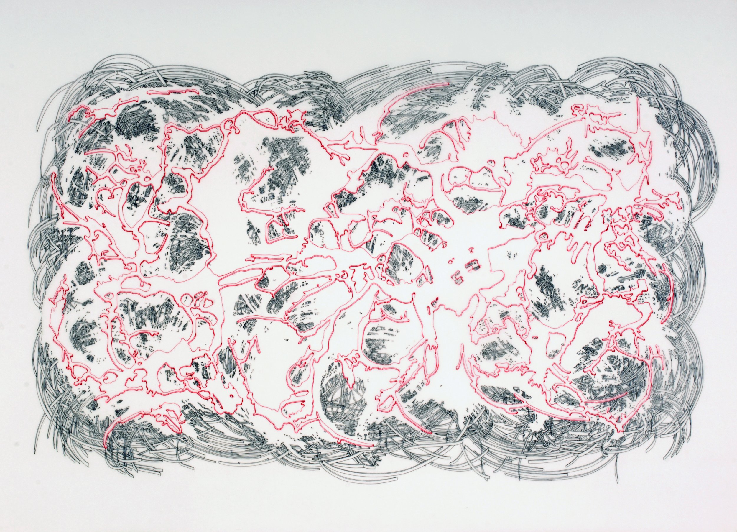 RED FLAG, ink on Mylar, 42" x 30" (2006)