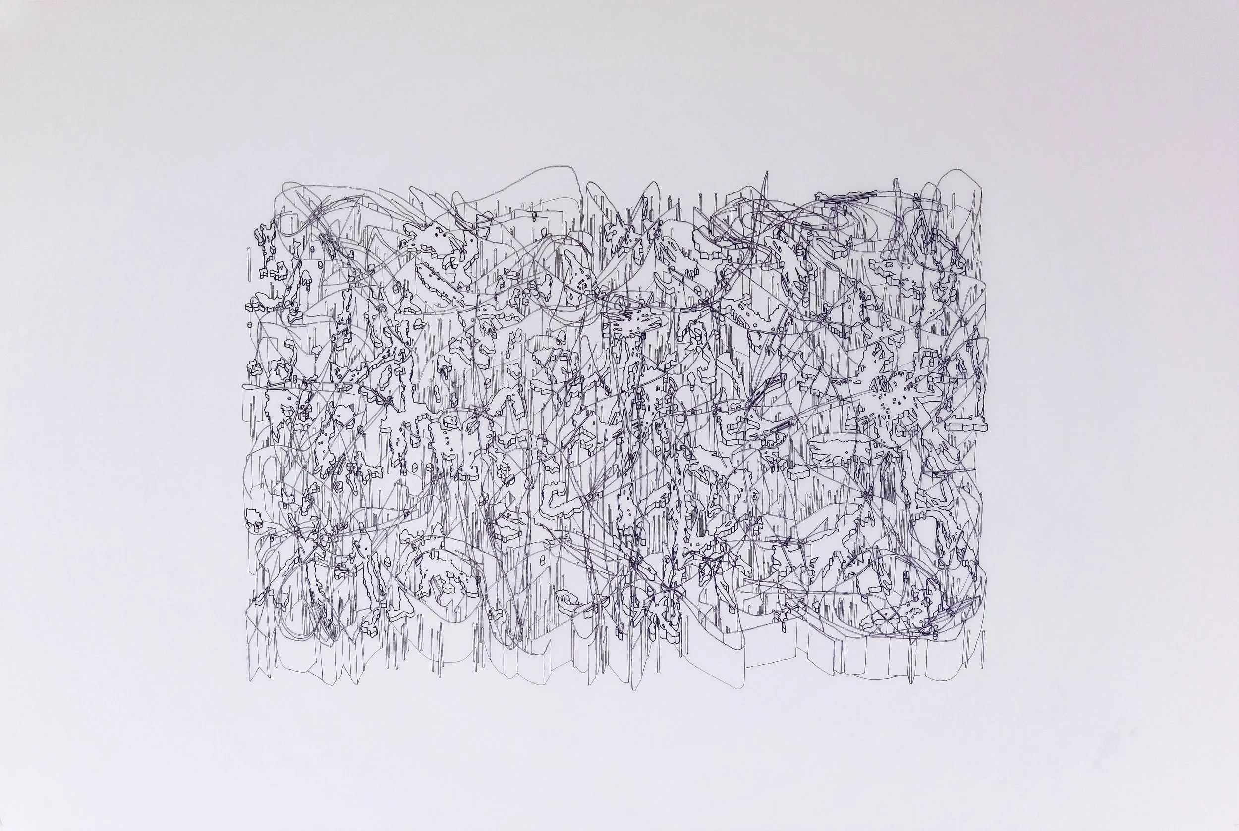 UNTITLED(32), ink on Mylar, 36" x 24" (2005)