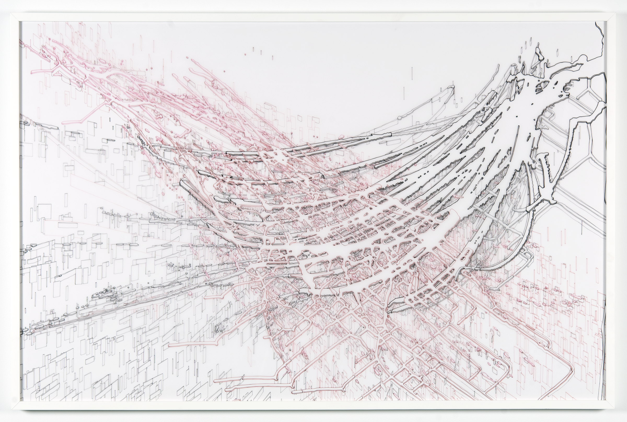 NETWORKED, ink on Mylar, 48" x 31" (2012)