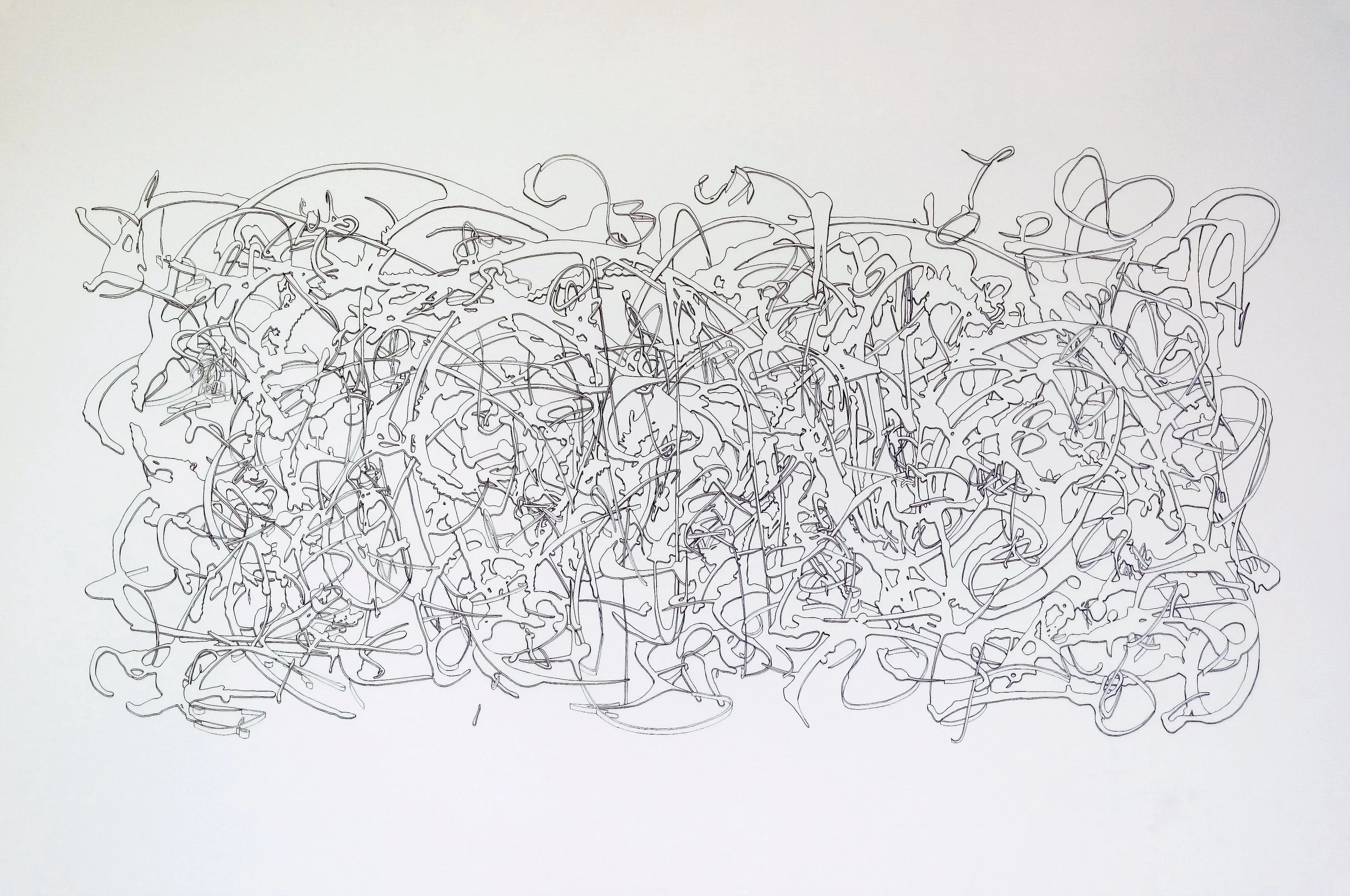 DOILY, ink on Mylar, 36" x 24" (2005)