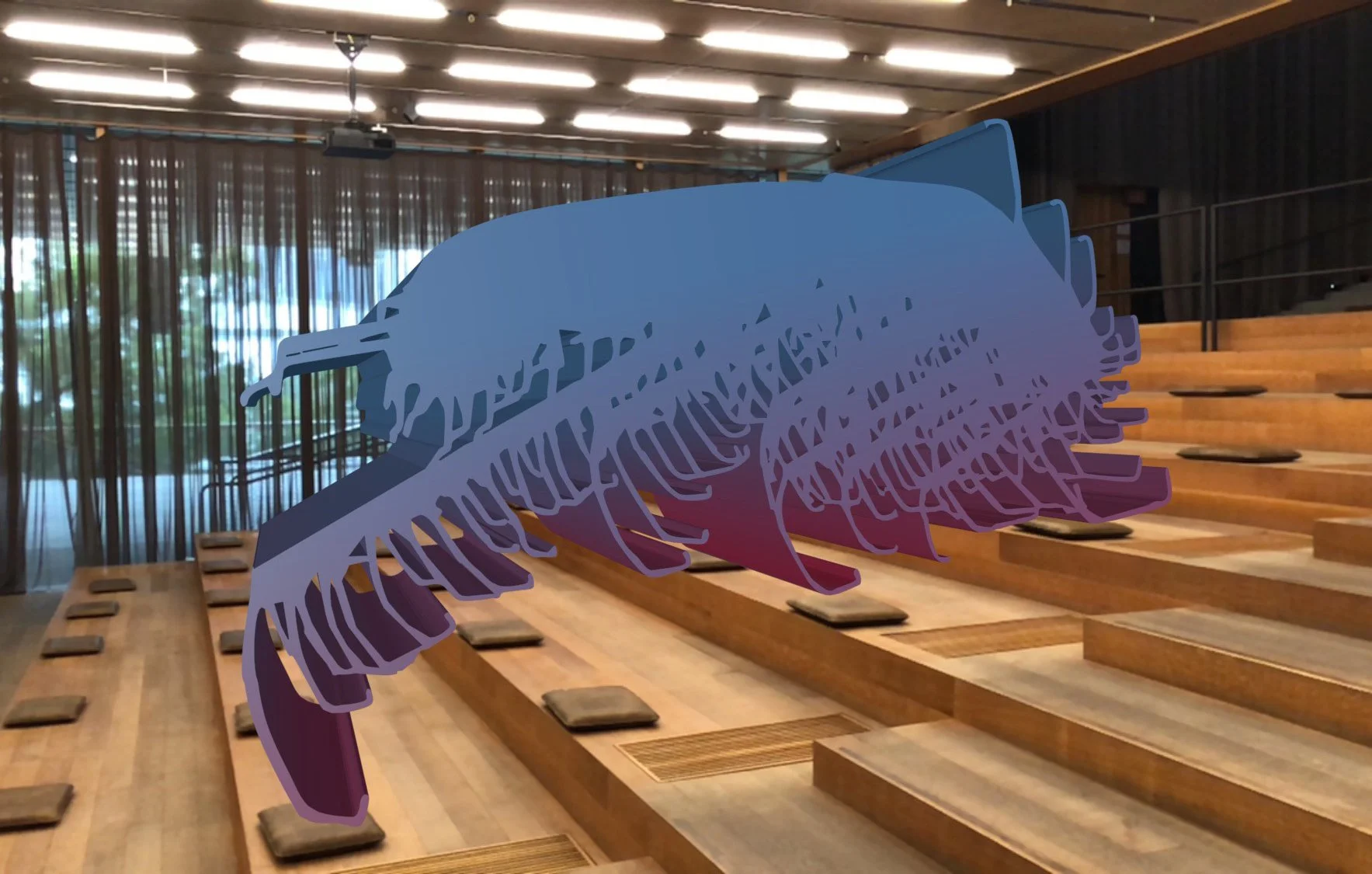 augmented reality (AR)