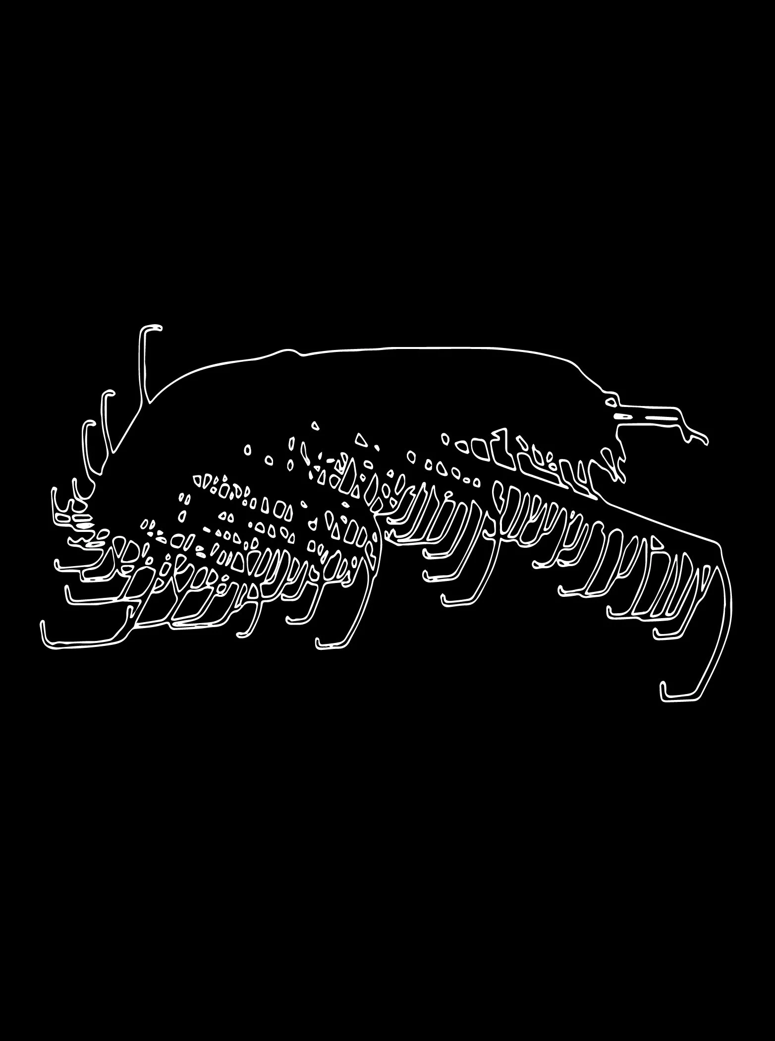 image trace.3.JPG