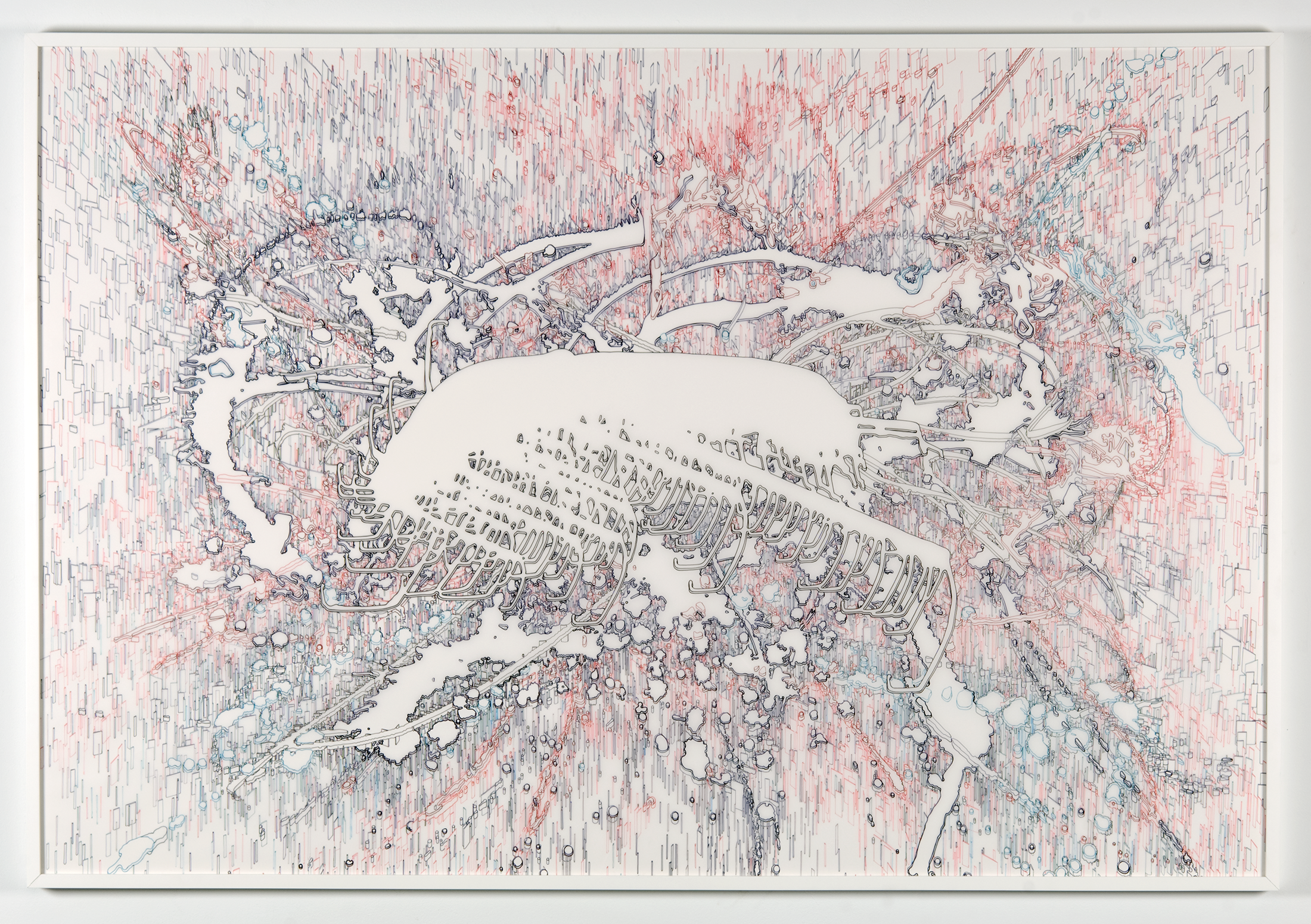 META_MORPHOSIS, ink on Mylar, 62" x 41" (2012)