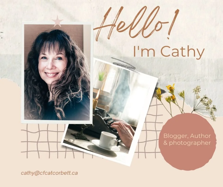 blogger, author, photographer