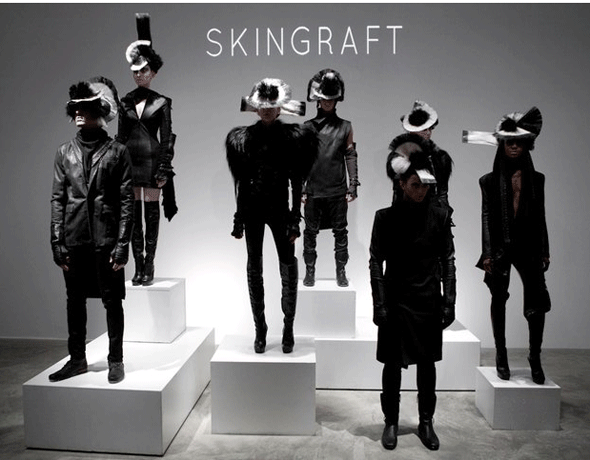 Skingraft-Presentation-Debut.gif