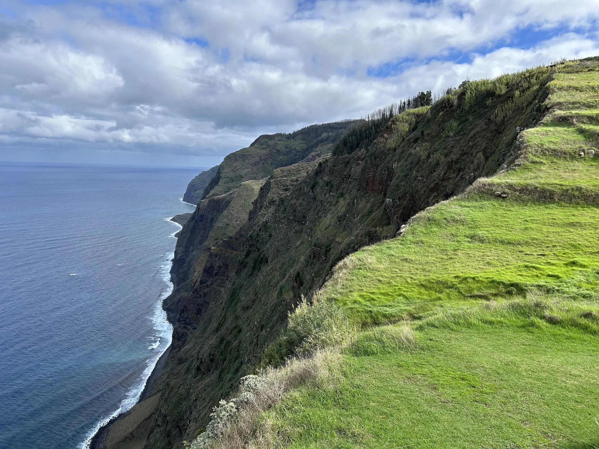 Candy &amp; Gratitude