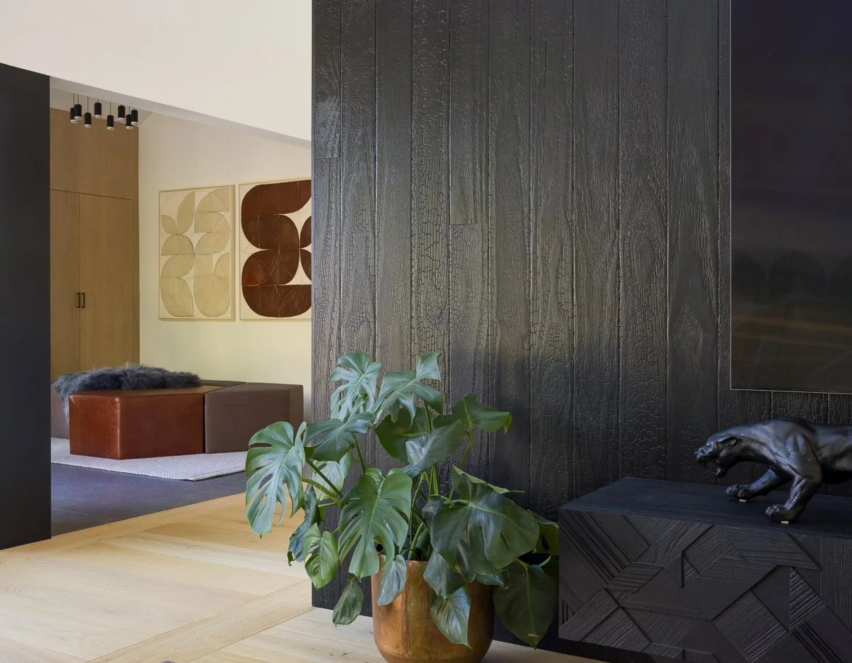 feature wall of Shou Sugi Ban and entrance way