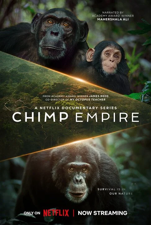 chimp_empire_ver2.jpg