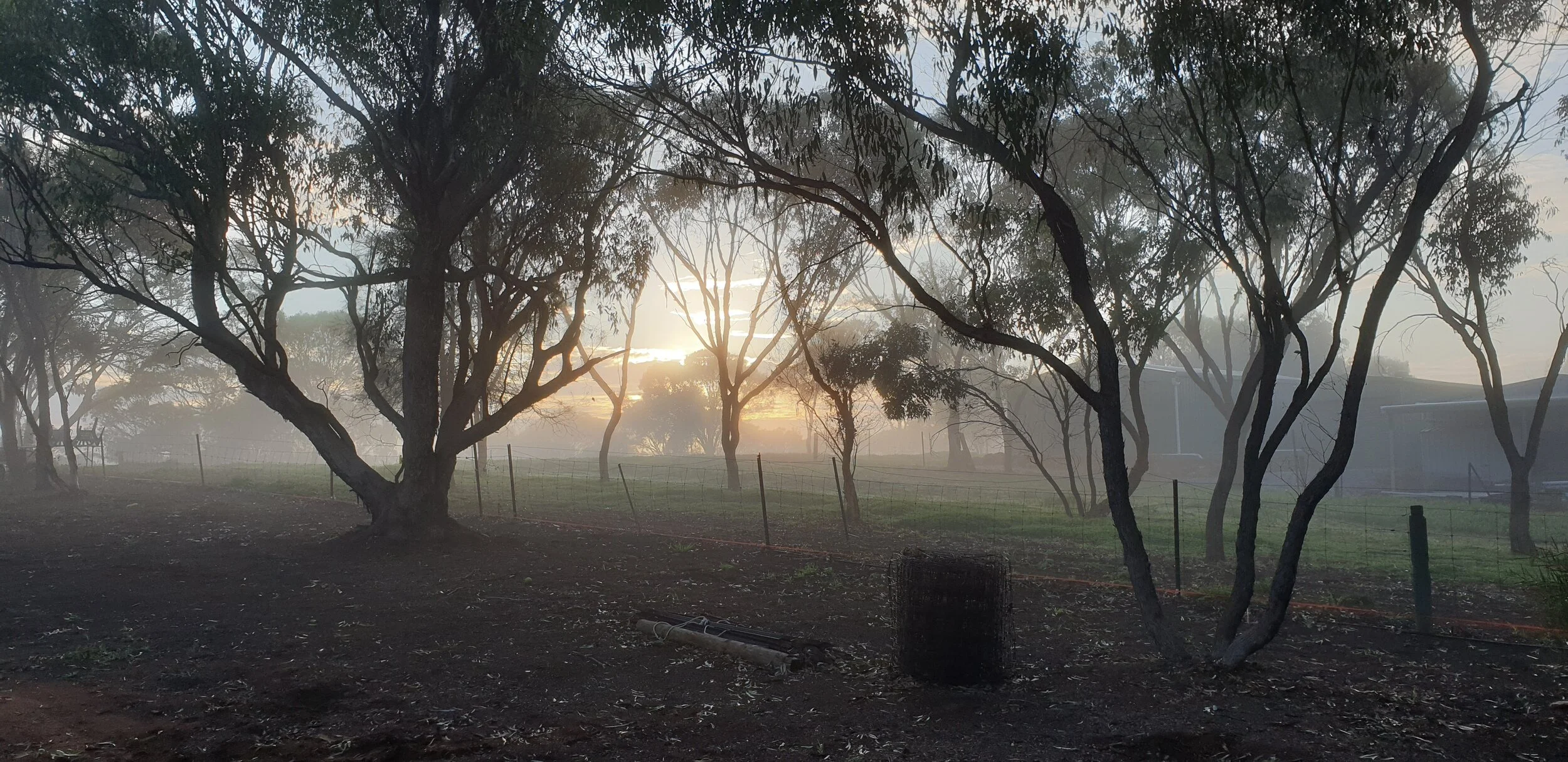 Toodyay Avon Valley  Accommodation / Bed and Breakfast