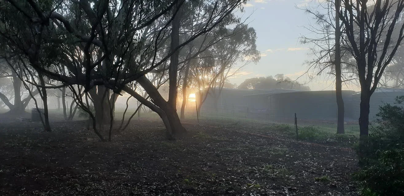 Toodyay Avon Valley  Accommodation / Bed and Breakfast