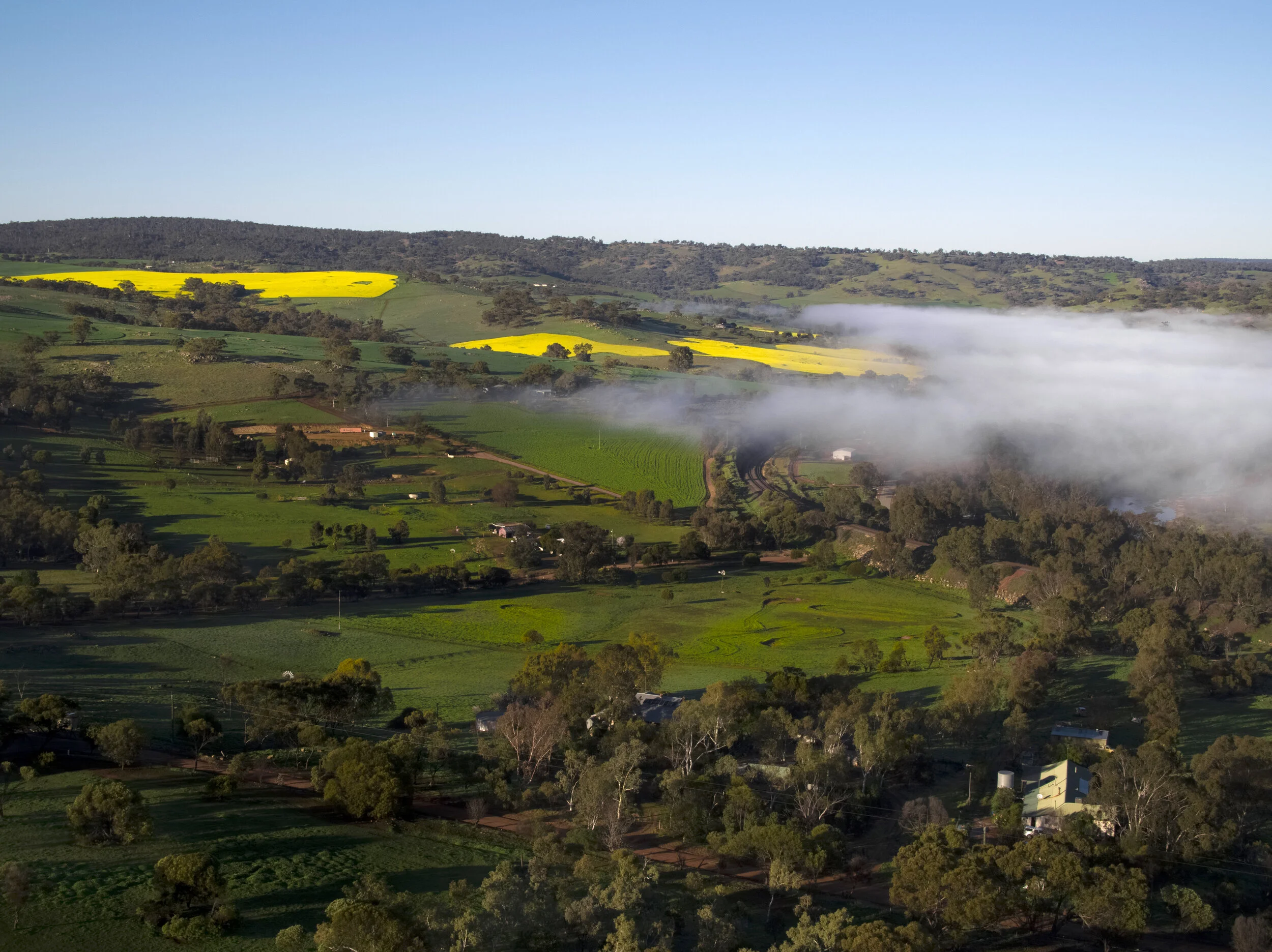 Pecan Hill-1-3a.jpg