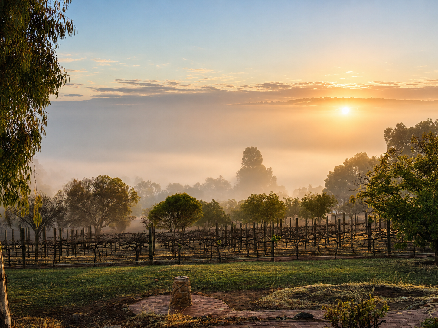Sunrise over the Avon Valley and vineyard from outside Valley View Cottage at Pecan Hill