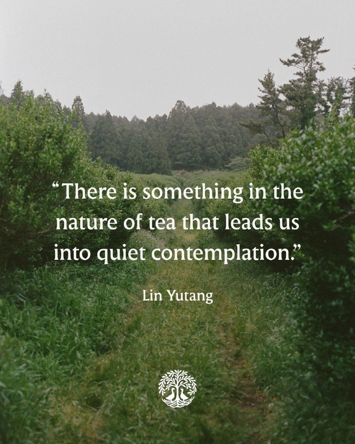 "There is something in the nature of tea that leads us into quiet contemplation." - Lin Yutang

Take a step back. Have a cup of tea and take a look at your surroundings. 

Ground yourself with some regenerative organic tea from Jeju Island.