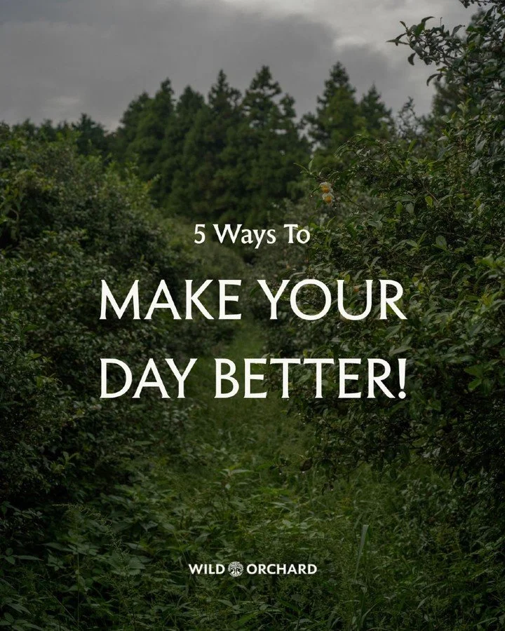 5 ways to make your day better lol
But seriously, try some for yourself!

#wildorchard #drinkwild #sustainablefarming #roc #regenerativeorganic #regenerativeagriculture #sustainableagriculture #matcha #matchalatte #blackmatcha #AYRmatchablack #matcha