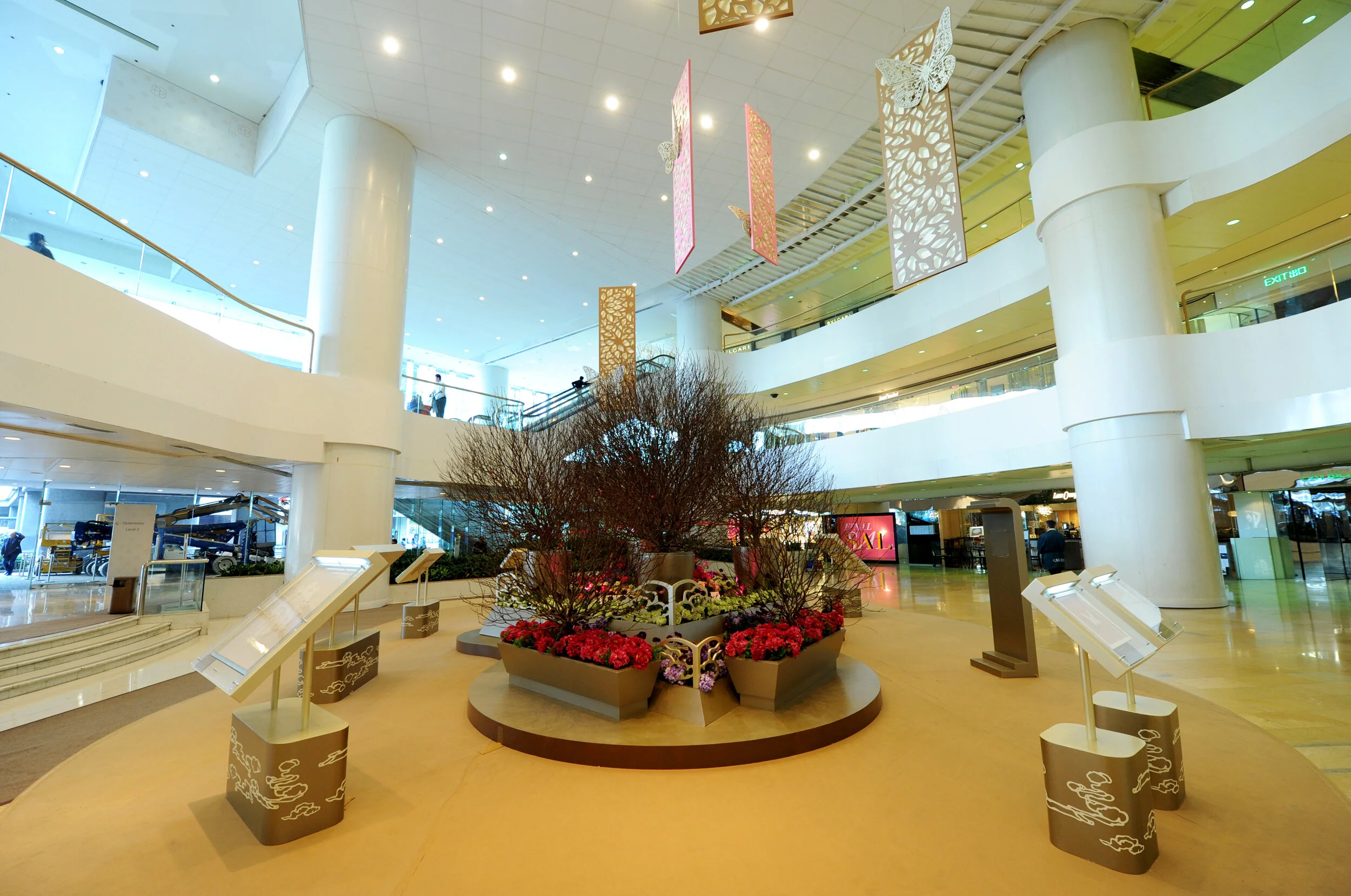 boveylee-pp-solo-10.jpg